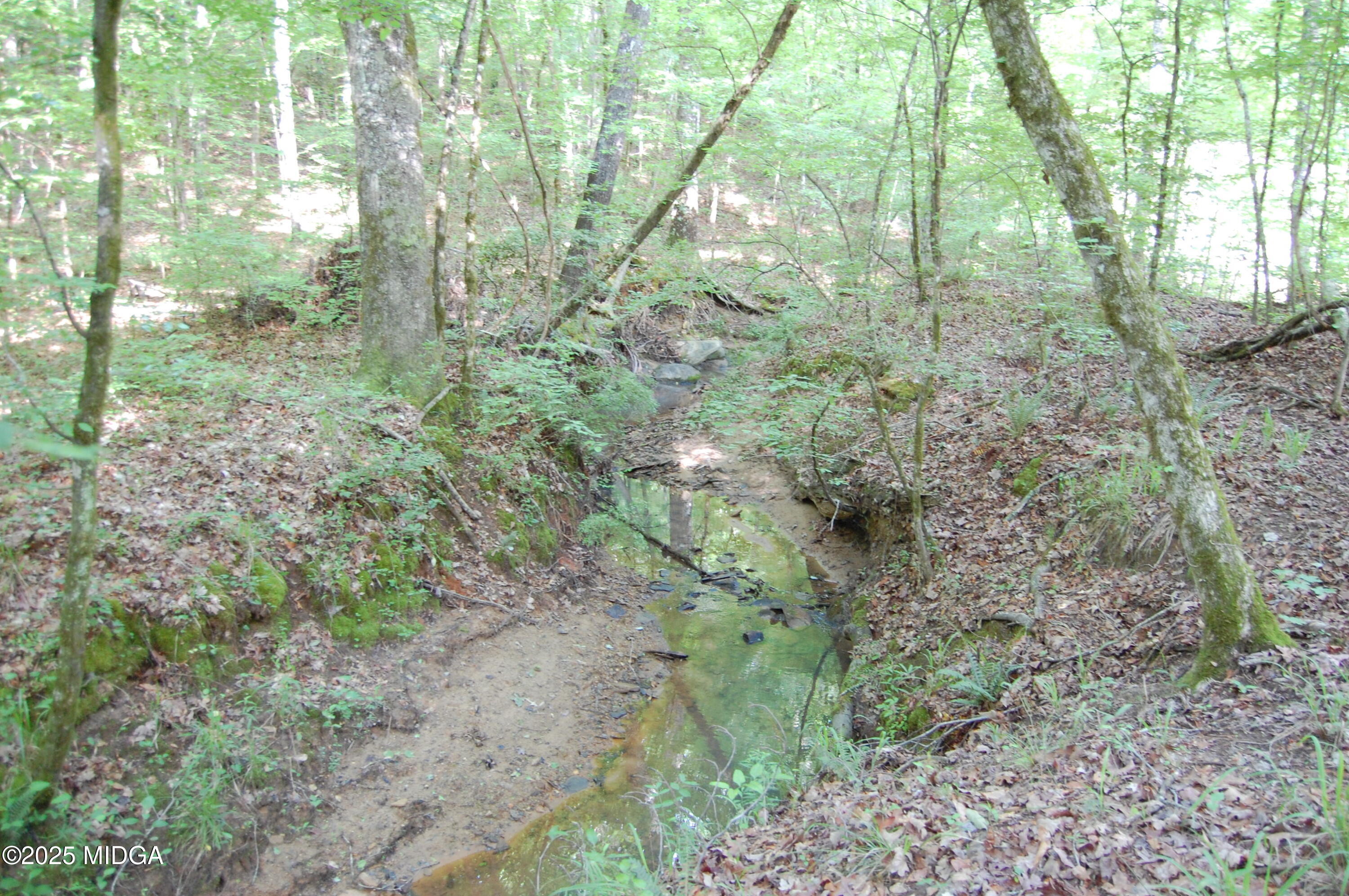 0 Hayes Farm Road Culloden, GA 31016 - Photo 19 of 33 a view of a forest with trees