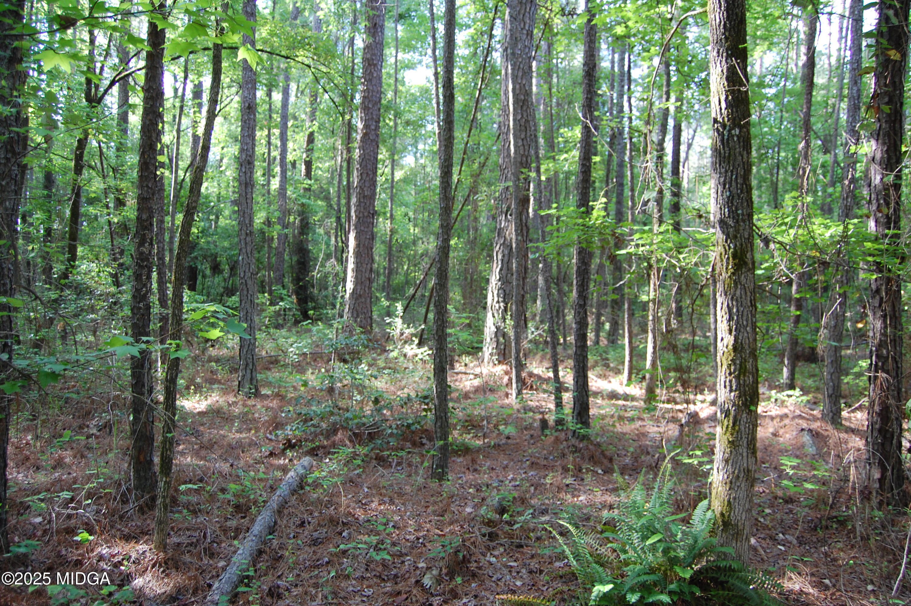 0 Hayes Farm Road Culloden, GA 31016 - Photo 2 of 33 a view of outdoor space and trees