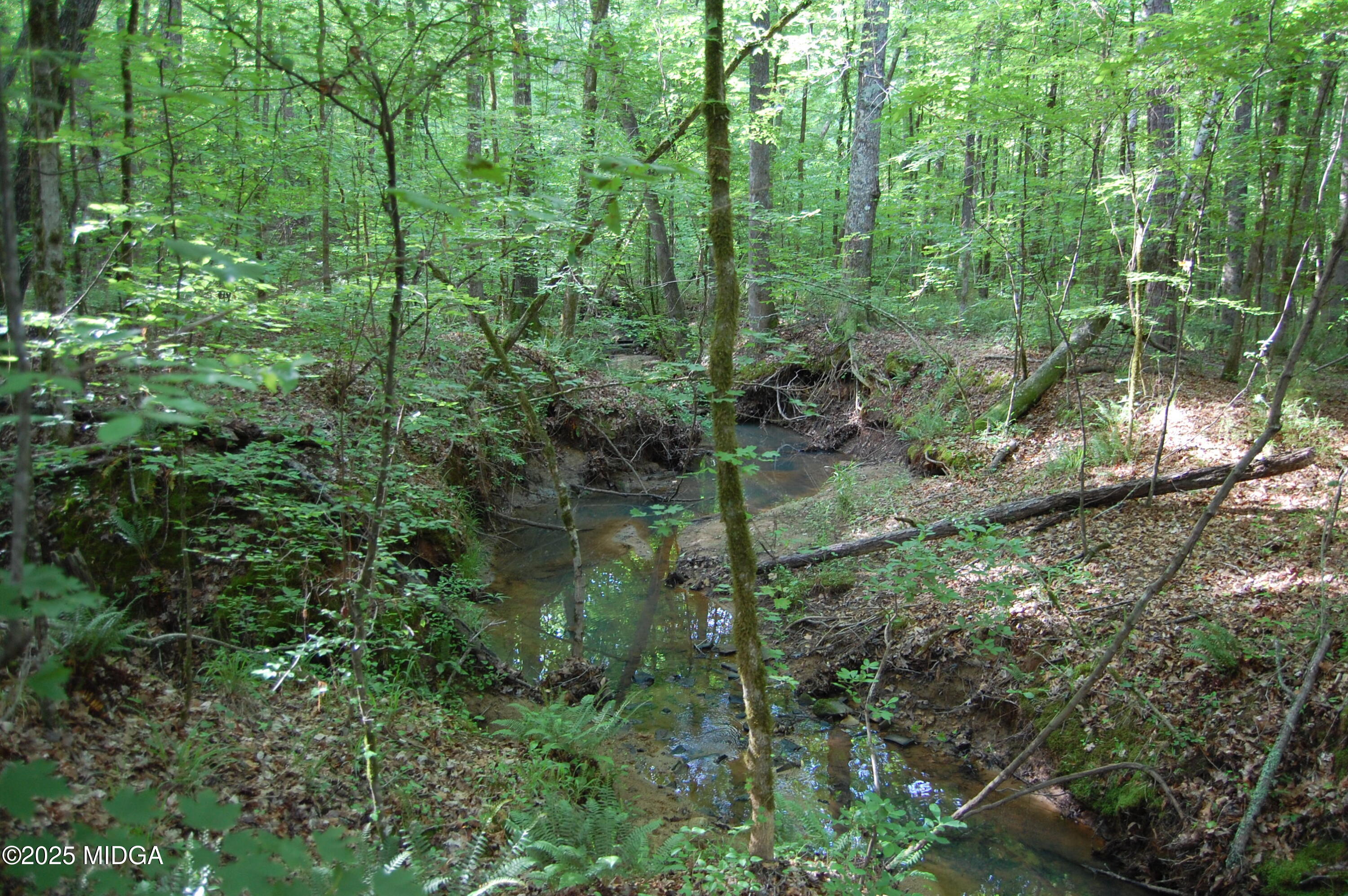 0 Hayes Farm Road Culloden, GA 31016 - Photo 21 of 33 a view of a forest with trees