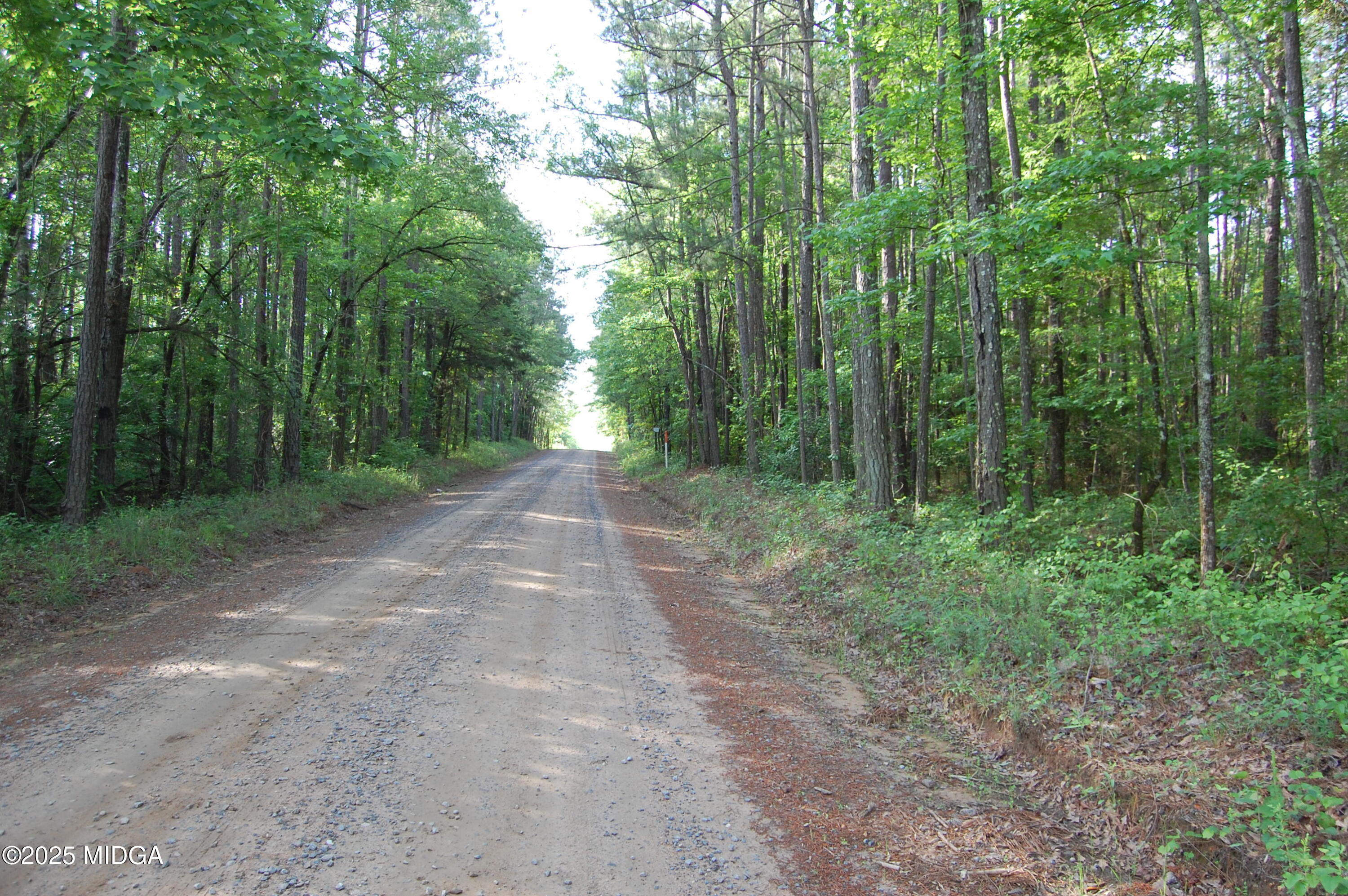 0 Hayes Farm Road Culloden, GA 31016 - Photo 22 of 33 a view of a forest with trees in the background