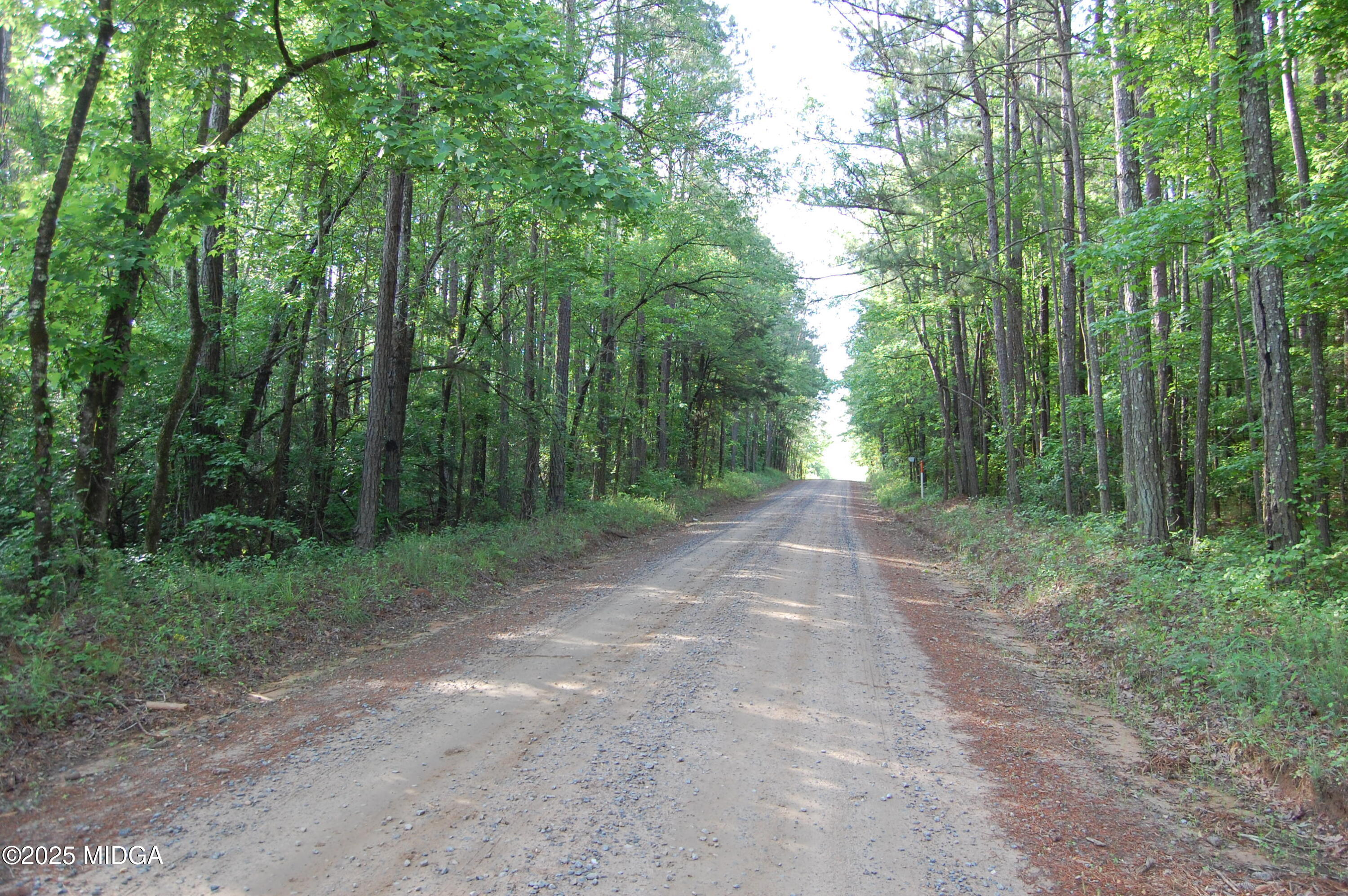 0 Hayes Farm Road Culloden, GA 31016 - Photo 23 of 33 a view of a forest with trees in the background