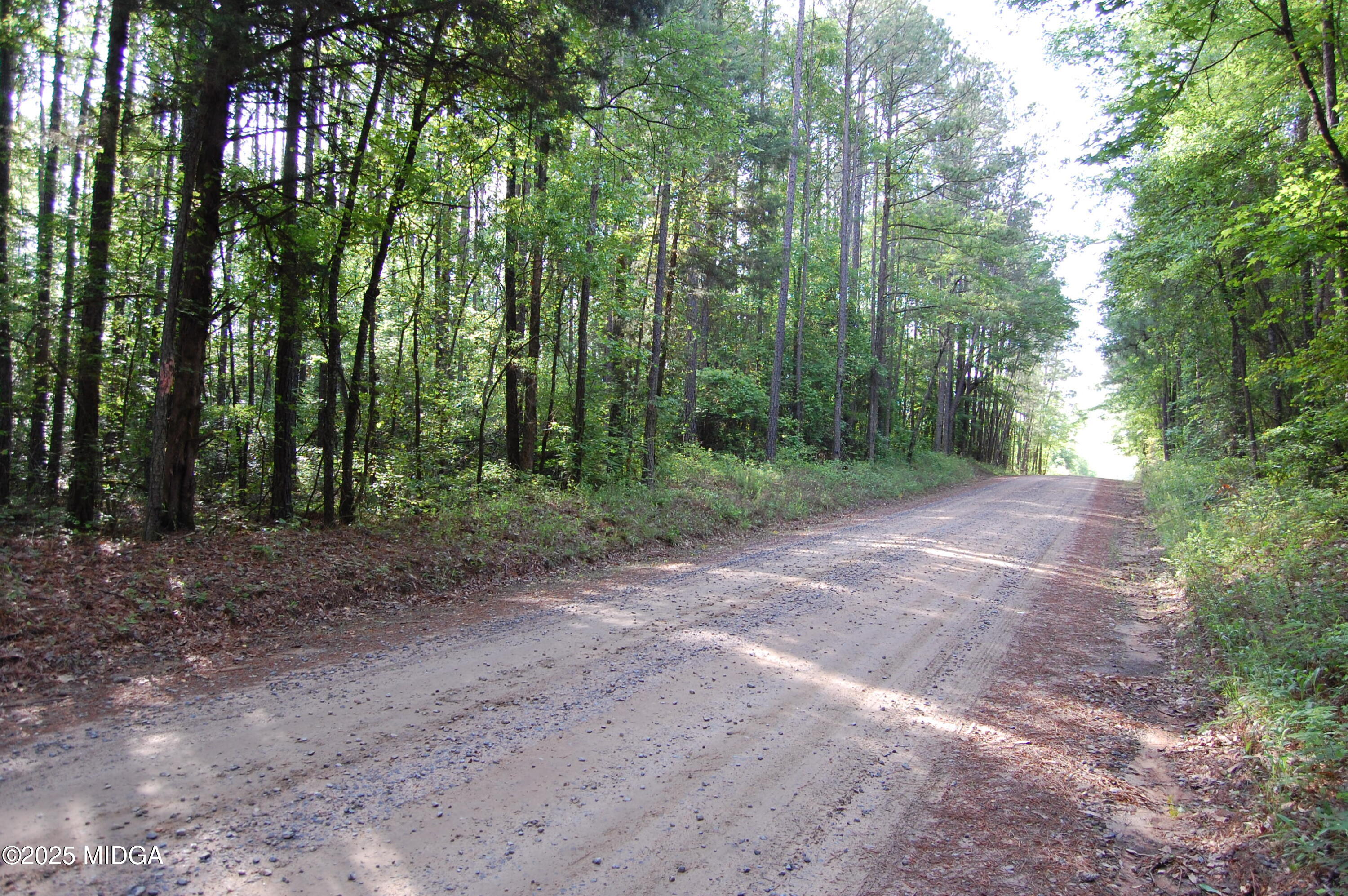 0 Hayes Farm Road Culloden, GA 31016 - Photo 24 of 33 a view of a forest with trees