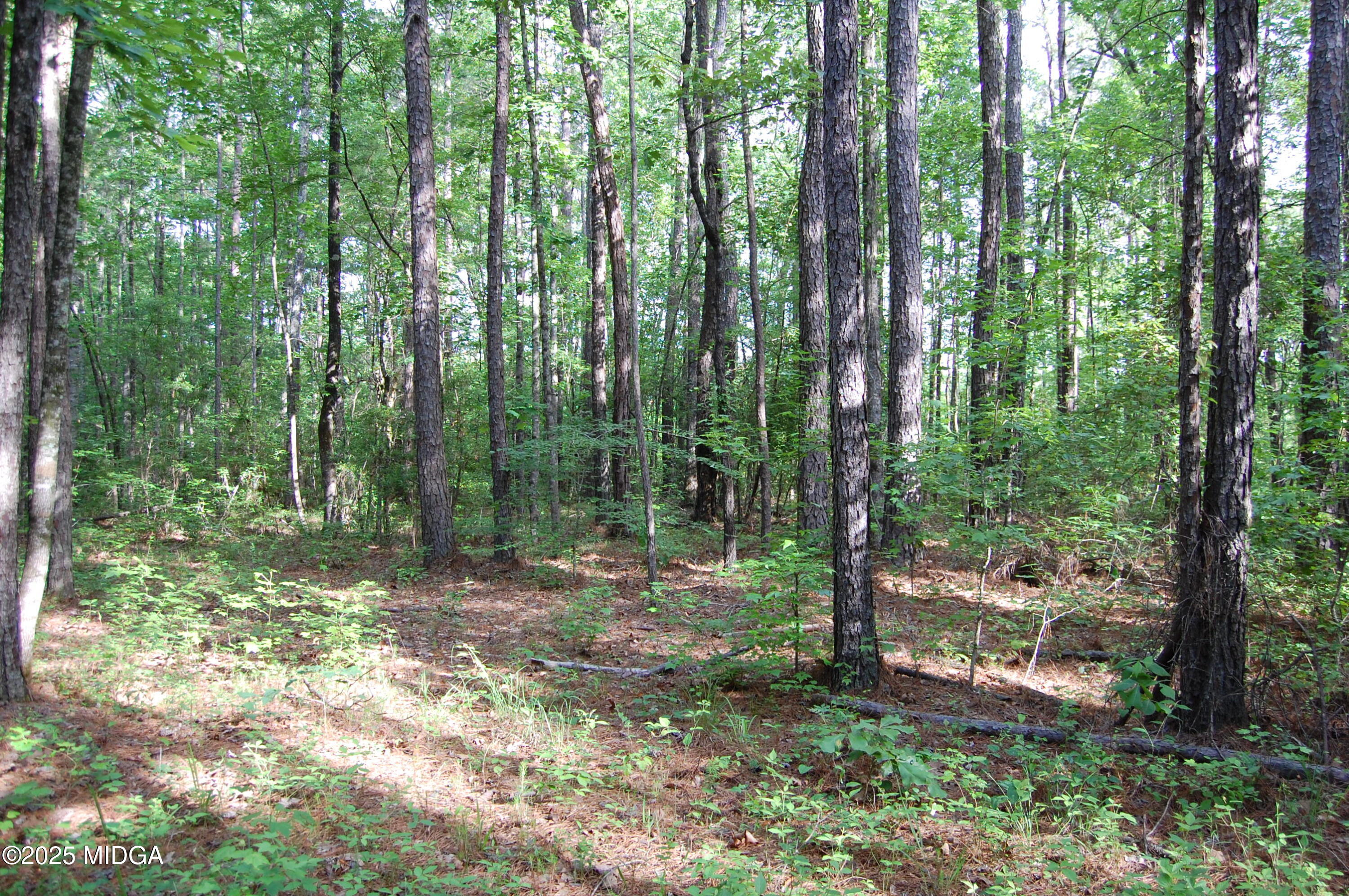 0 Hayes Farm Road Culloden, GA 31016 - Photo 26 of 33 a view of outdoor space and trees