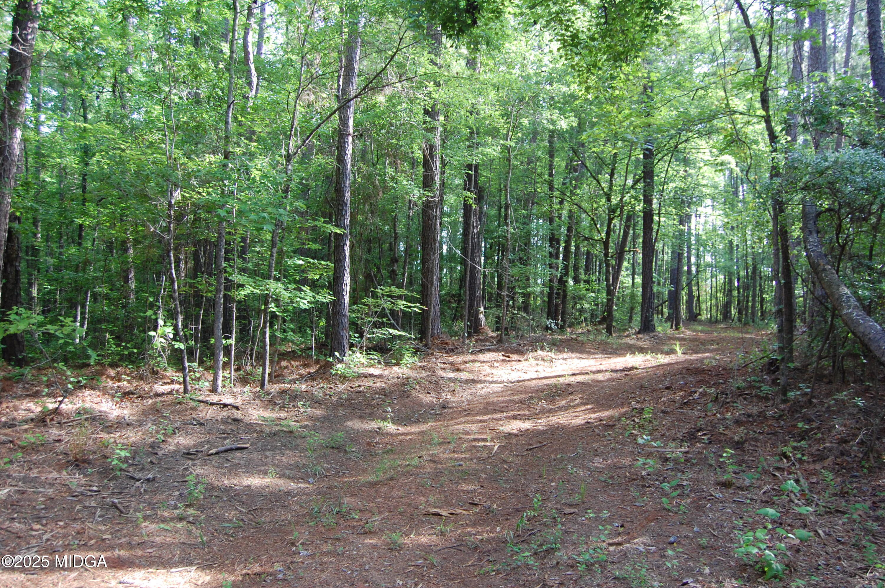 0 Hayes Farm Road Culloden, GA 31016 - Photo 27 of 33 a view of outdoor space with trees