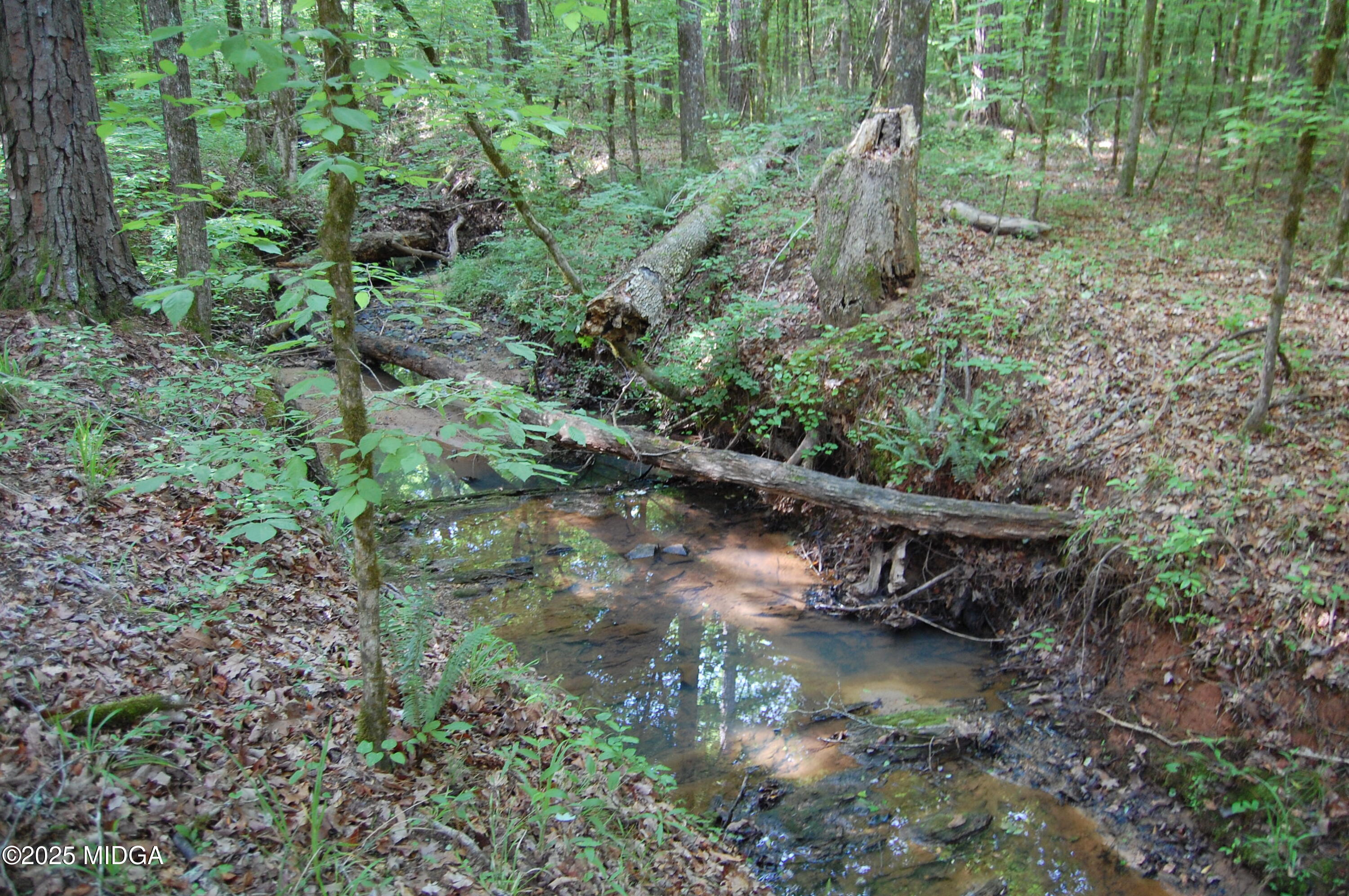 0 Hayes Farm Road Culloden, GA 31016 - Photo 3 of 33 a view of a forest with a lake view