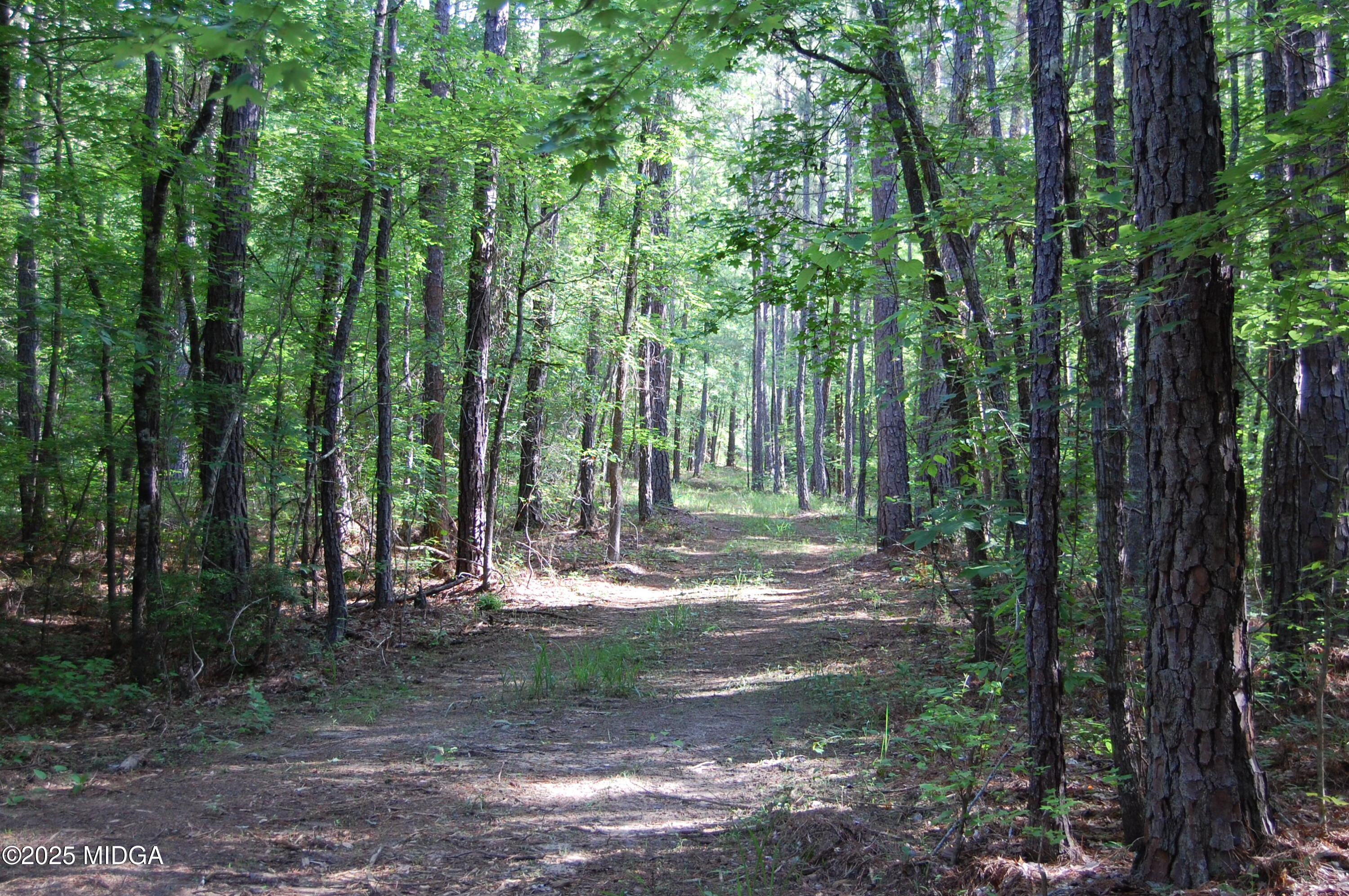 0 Hayes Farm Road Culloden, GA 31016 - Photo 32 of 33 a view of outdoor space with lots of trees