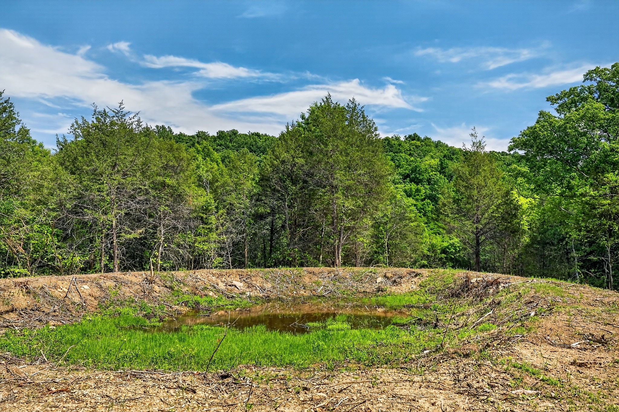 2926 Bryant Ridge Road Baxter, TN 38544 - Photo 27 of 64