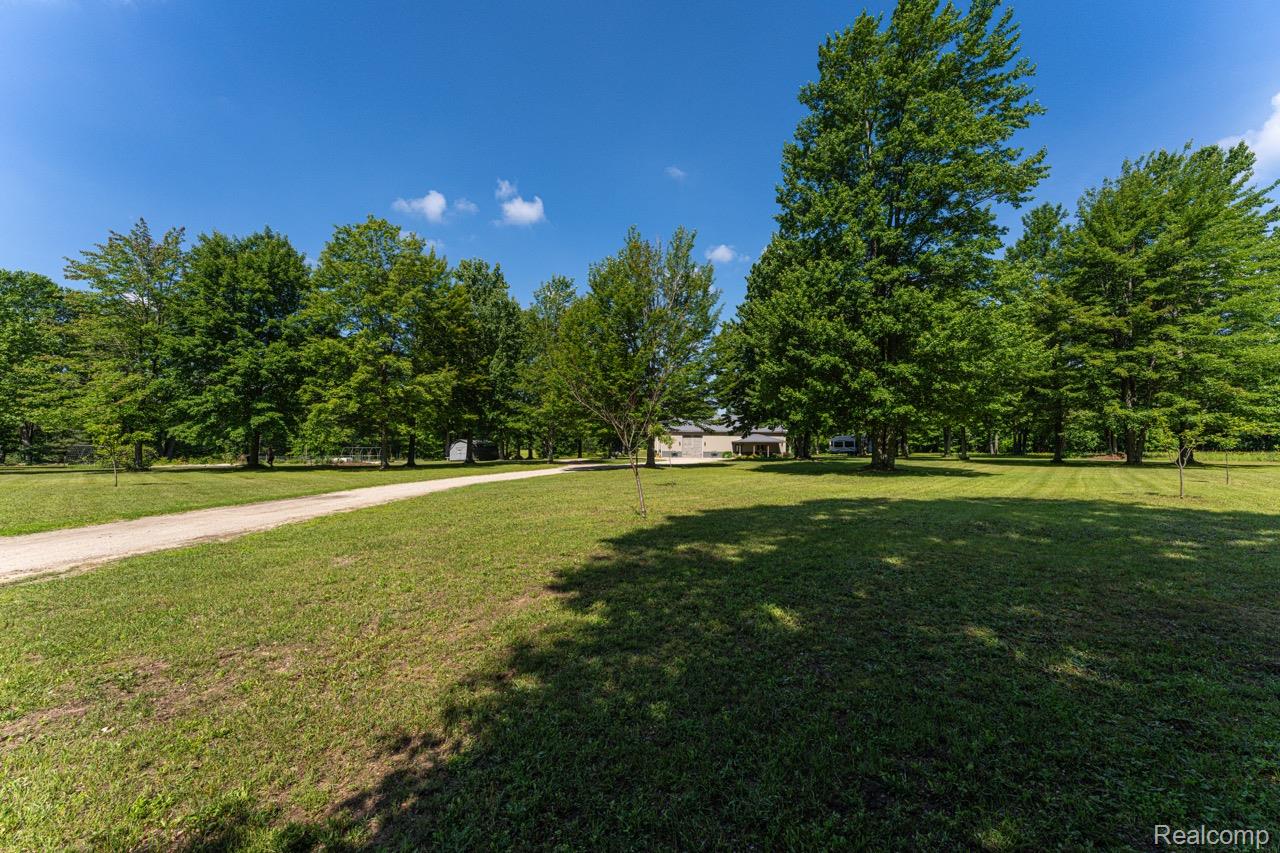 2418 South 41st Road South Cadillac, MI 49601 - Photo 55 of 57 Expansive green lawn with mature trees and a gravel pathway