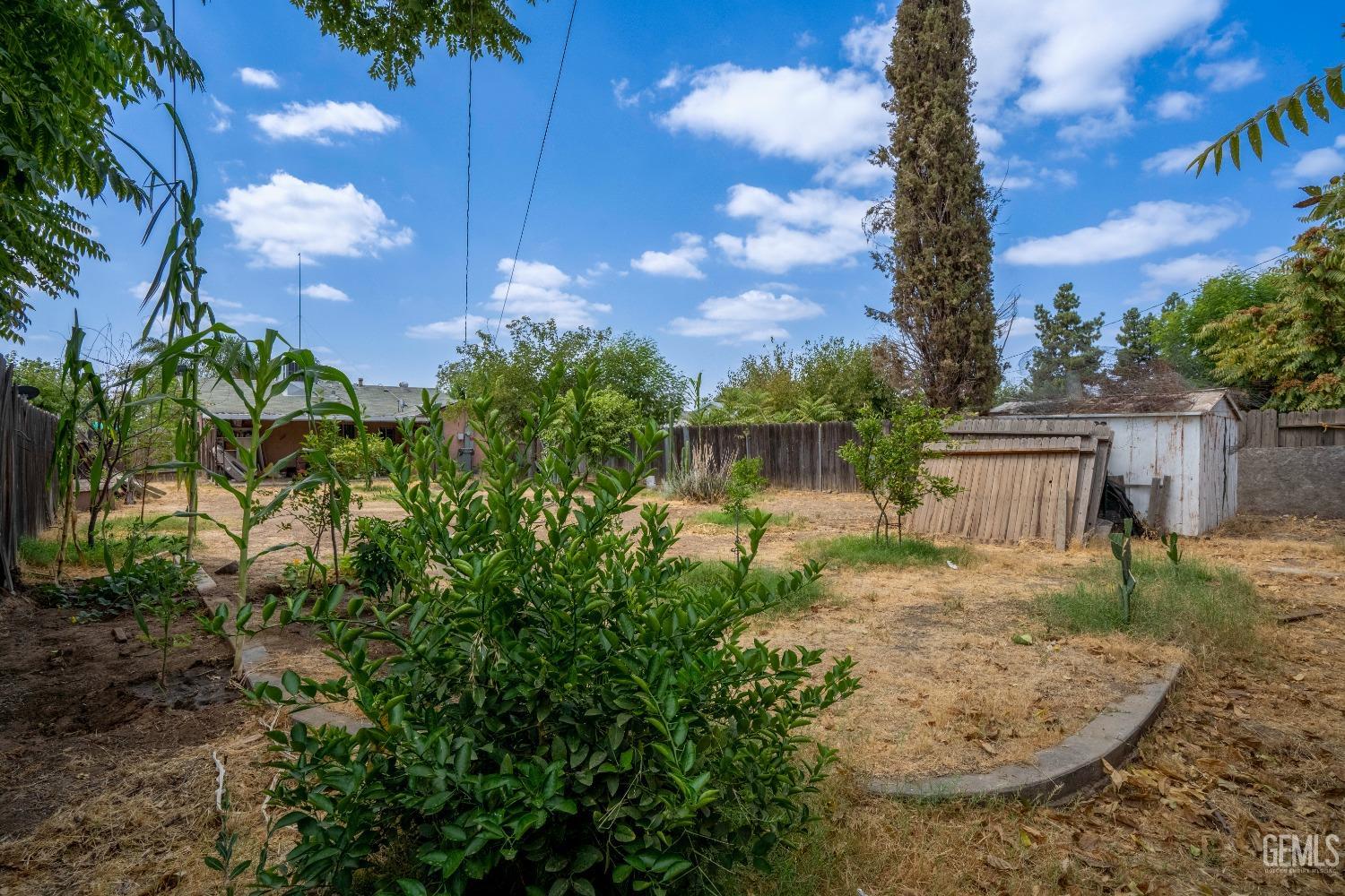 Undisclosed Address Bakersfield, CA 93305 - Photo 21 of 23 a view of a backyard