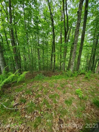 a view of outdoor space with deck and yard