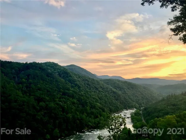 a view of a city with lush green forest