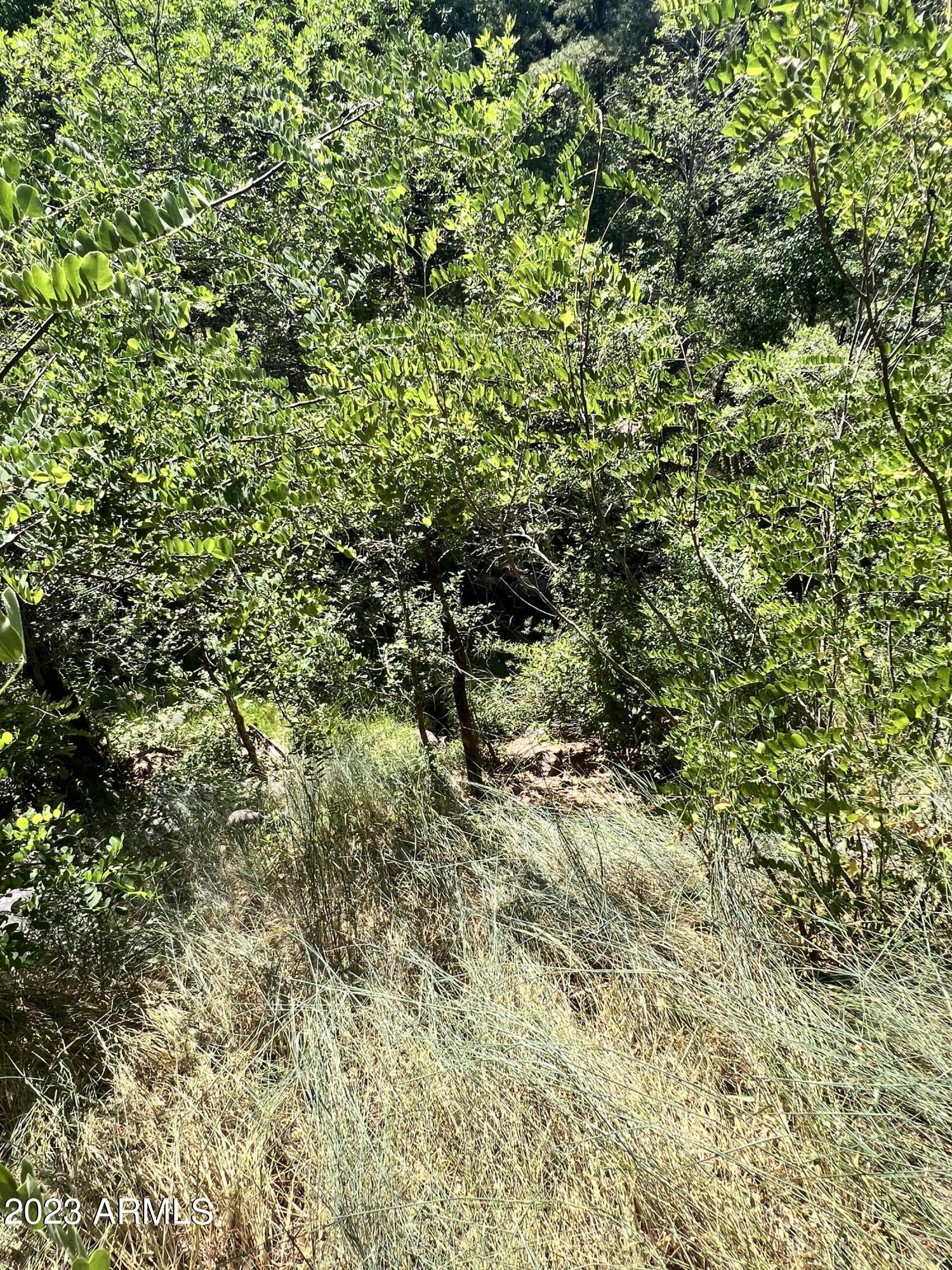 5128 Bear Flat Road Payson, AZ 85541 - Photo 52 of 58 2023-06-30 15.01.51