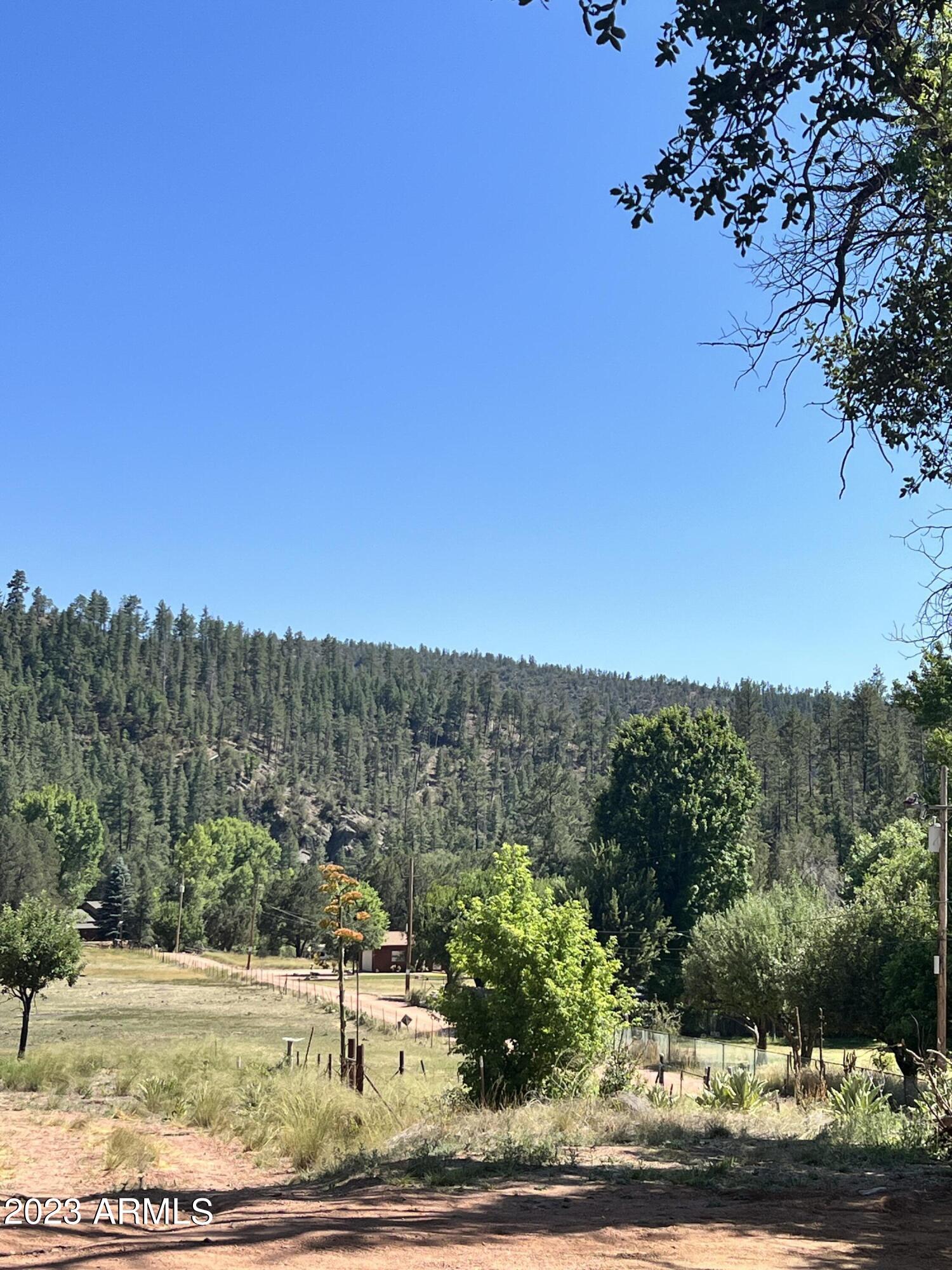 5128 Bear Flat Road Payson, AZ 85541 - Photo 57 of 58 2023-06-30 15.13.02