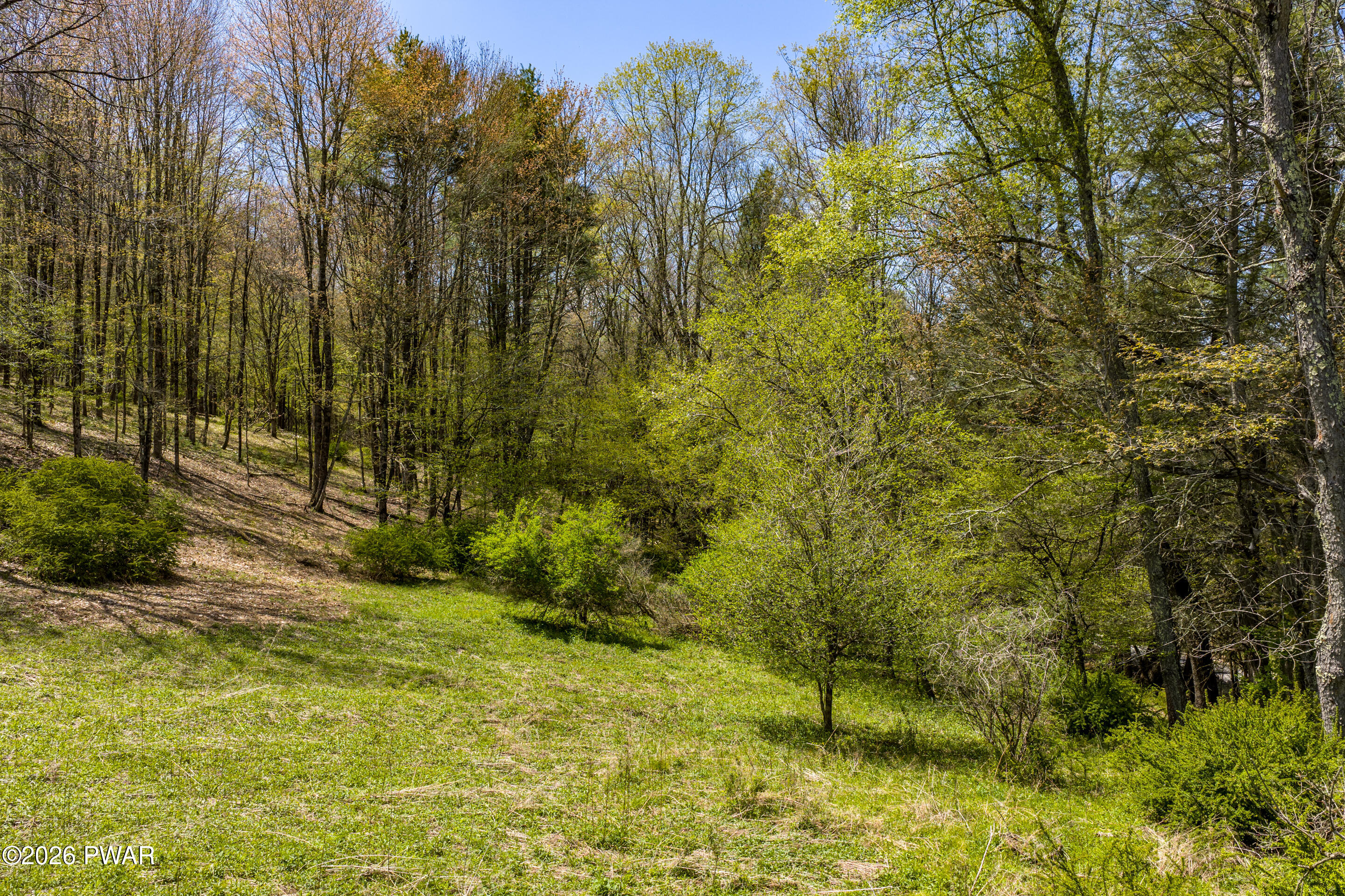 0 John Davis Road Beach Lake, PA 18405 - Photo 20 of 22