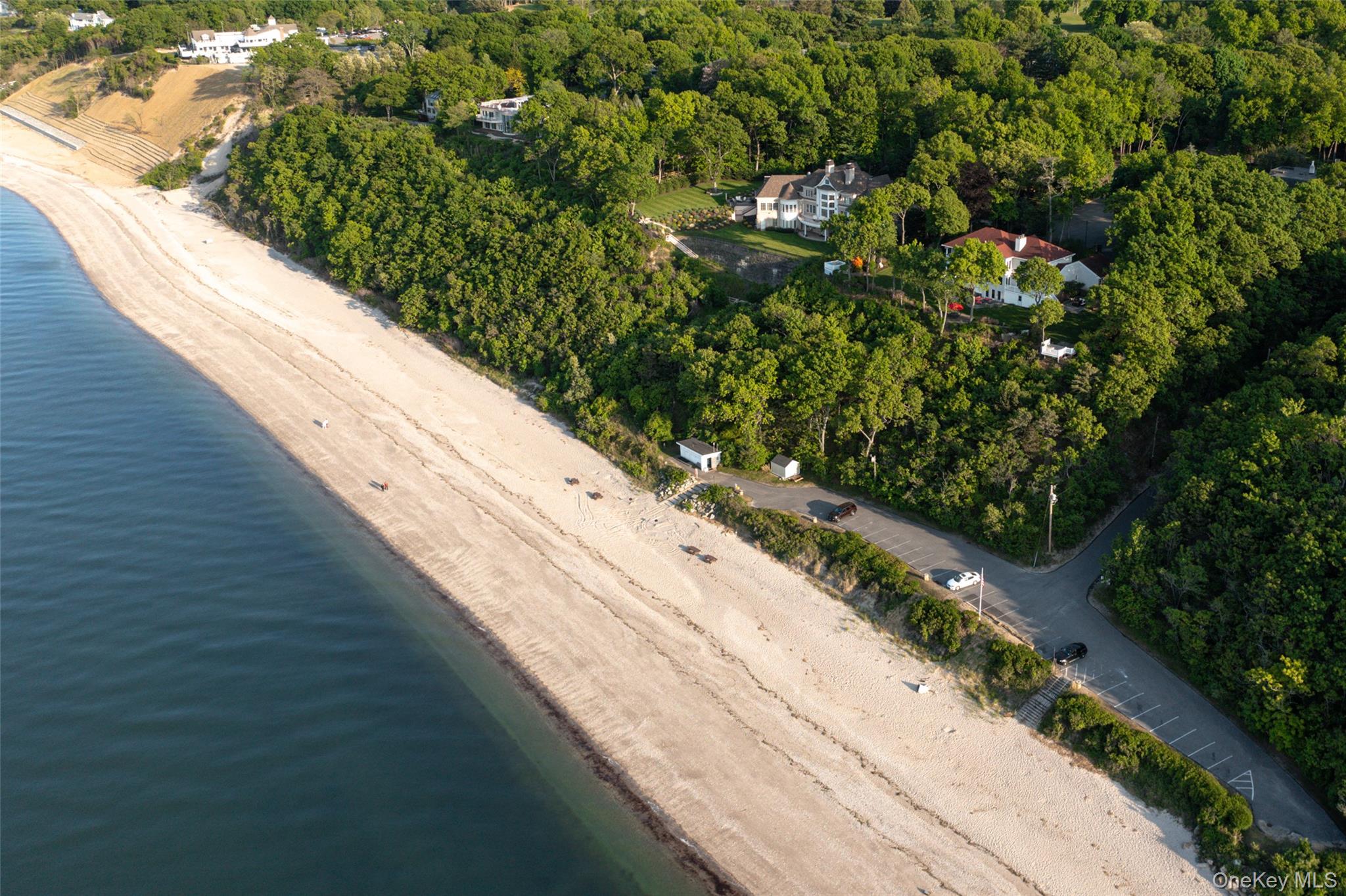 15 Stephens Path Port Jefferson, NY 11777 - Photo 34 of 34 a view of a yard with plants