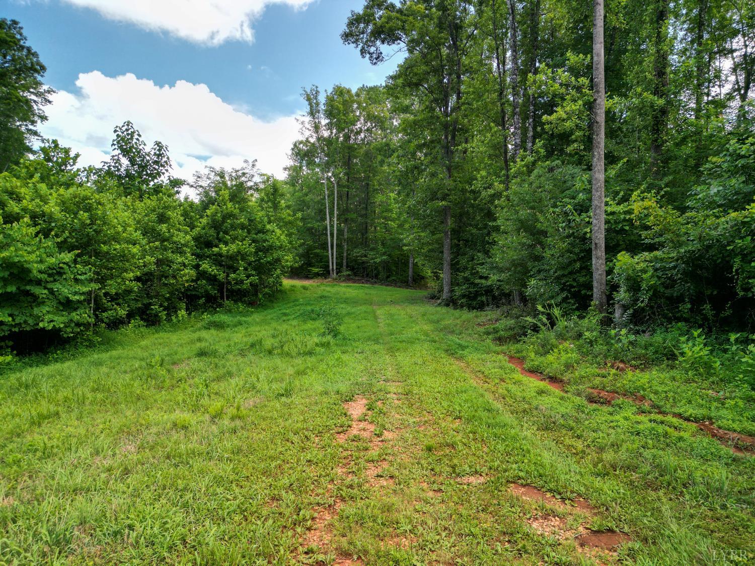 0 Allens Creek Road Gladstone, VA 24553 - Photo 14 of 37