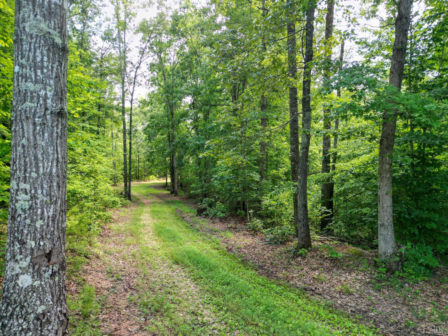 0 Allens Creek Road Gladstone, VA 24553 - Photo 15 of 37