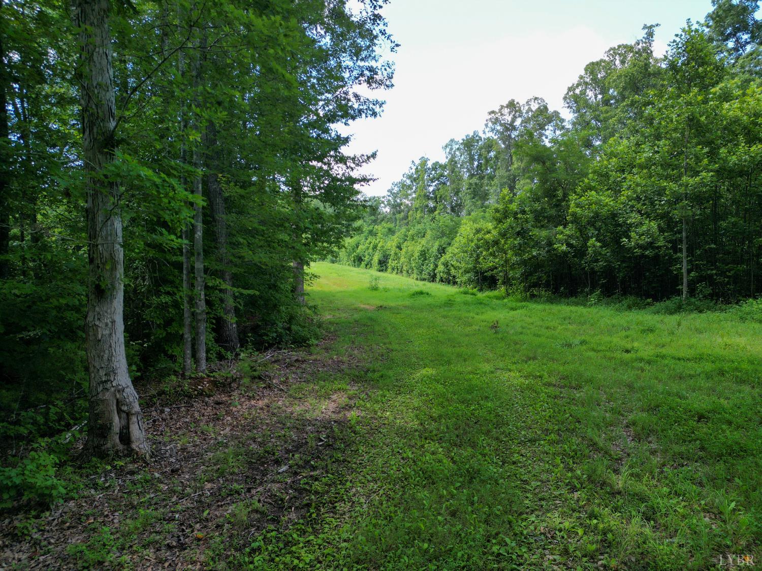 0 Allens Creek Road Gladstone, VA 24553 - Photo 16 of 37