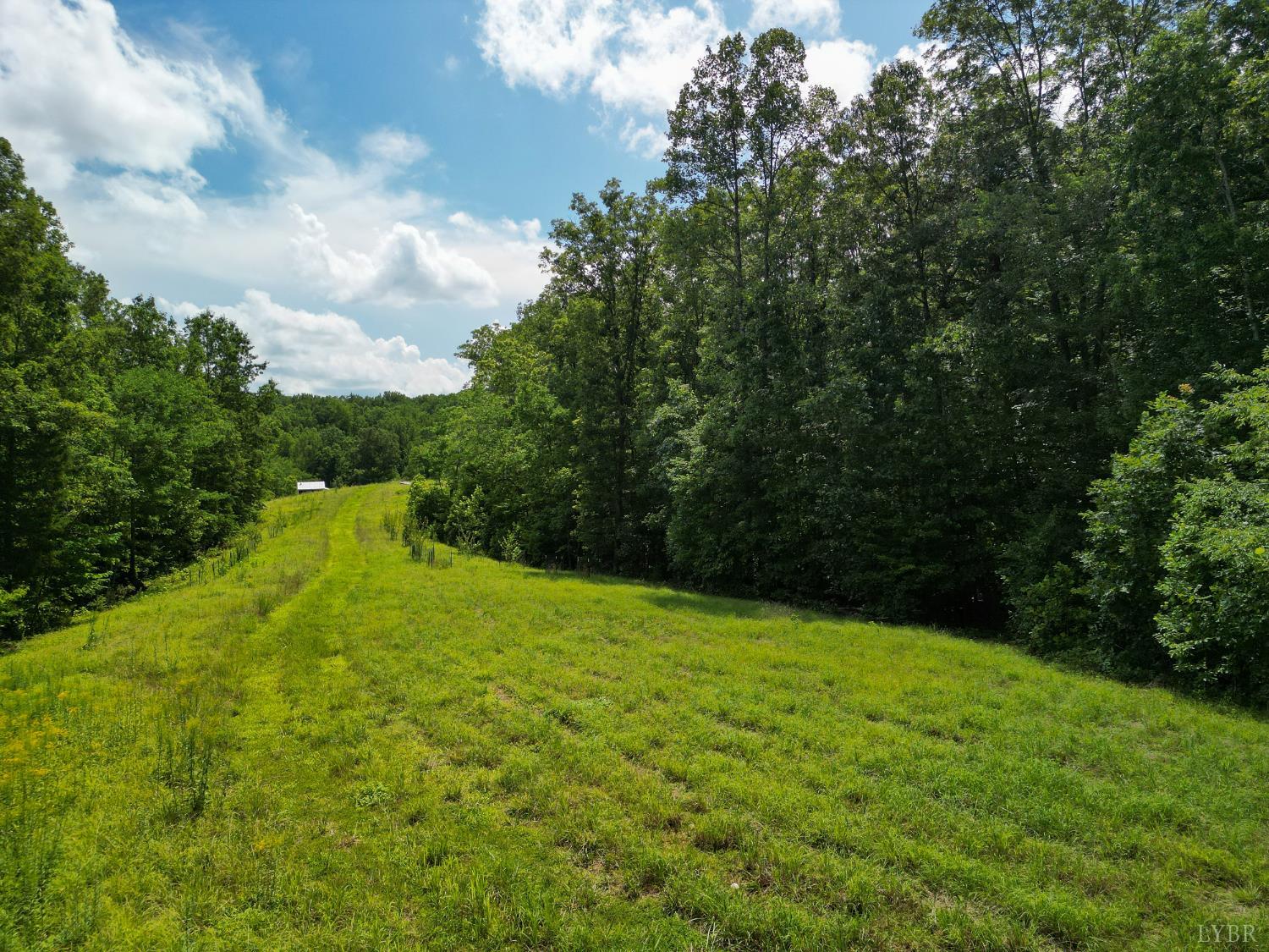 0 Allens Creek Road Gladstone, VA 24553 - Photo 18 of 37