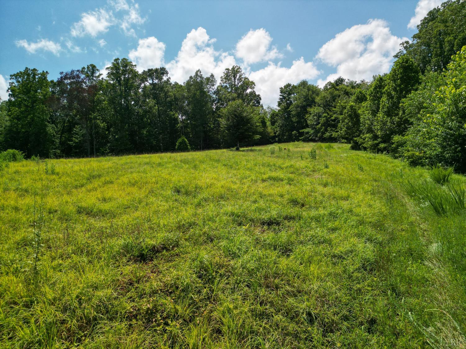 0 Allens Creek Road Gladstone, VA 24553 - Photo 23 of 37