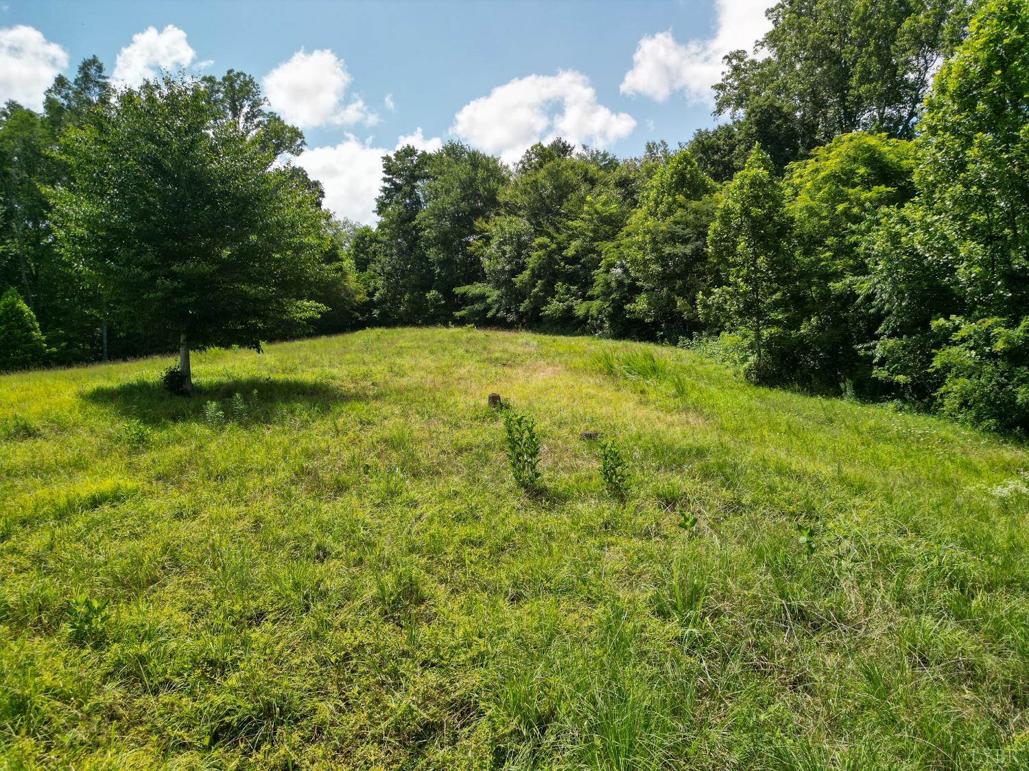 0 Allens Creek Road Gladstone, VA 24553 - Photo 24 of 37