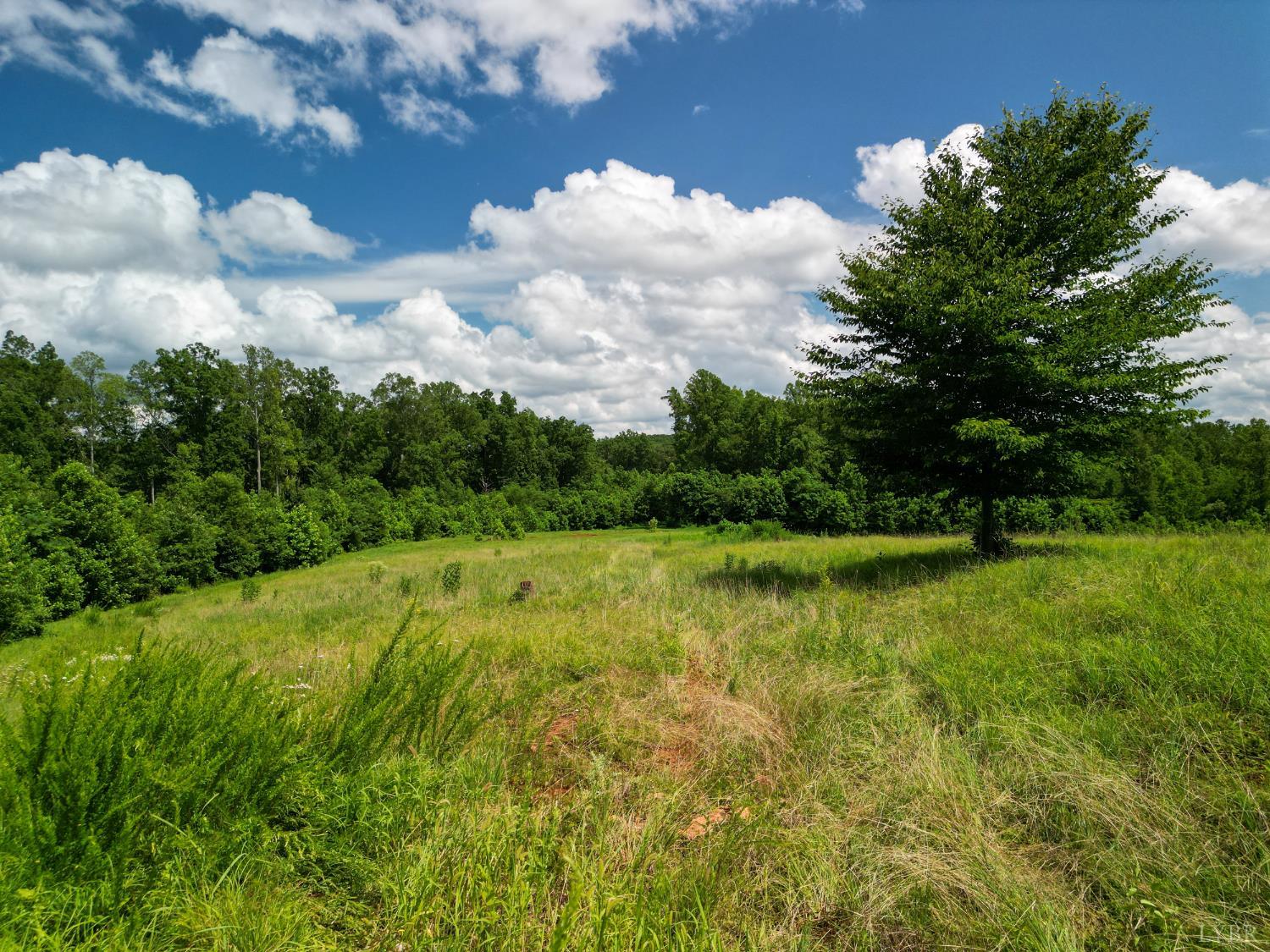 0 Allens Creek Road Gladstone, VA 24553 - Photo 25 of 37