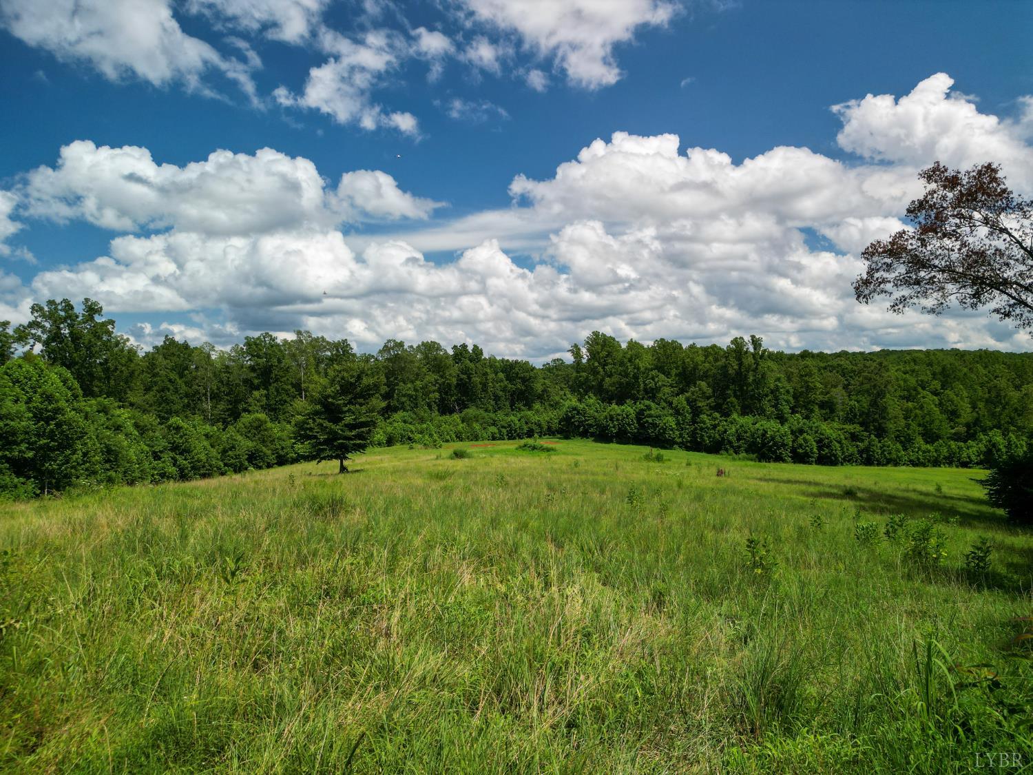 0 Allens Creek Road Gladstone, VA 24553 - Photo 26 of 37