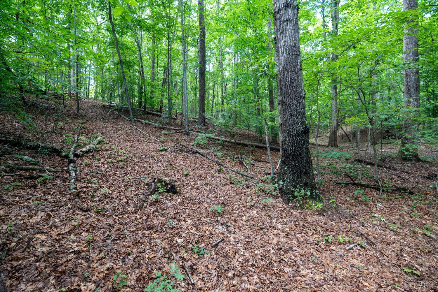 0 Allens Creek Road Gladstone, VA 24553 - Photo 28 of 37