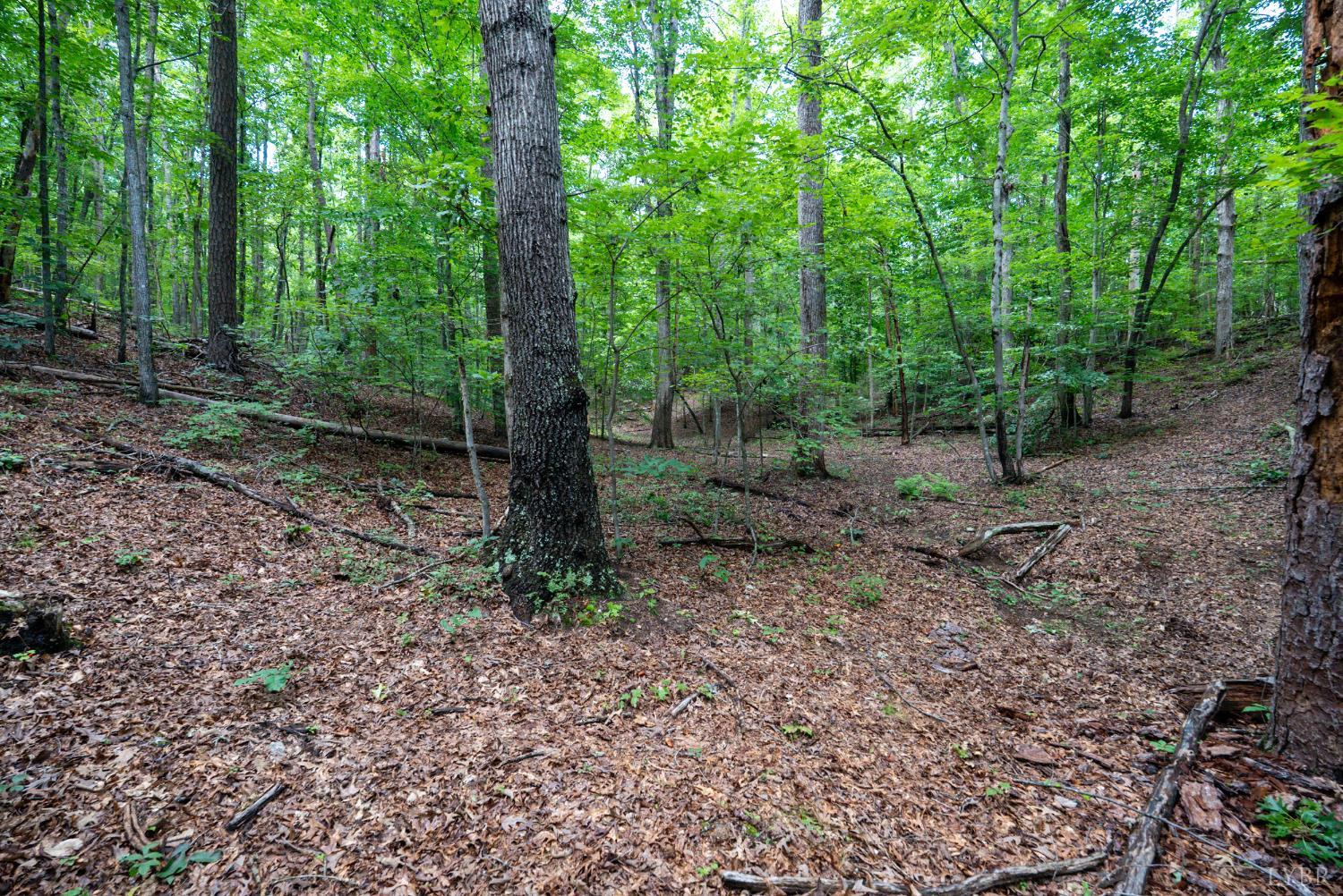 0 Allens Creek Road Gladstone, VA 24553 - Photo 29 of 37