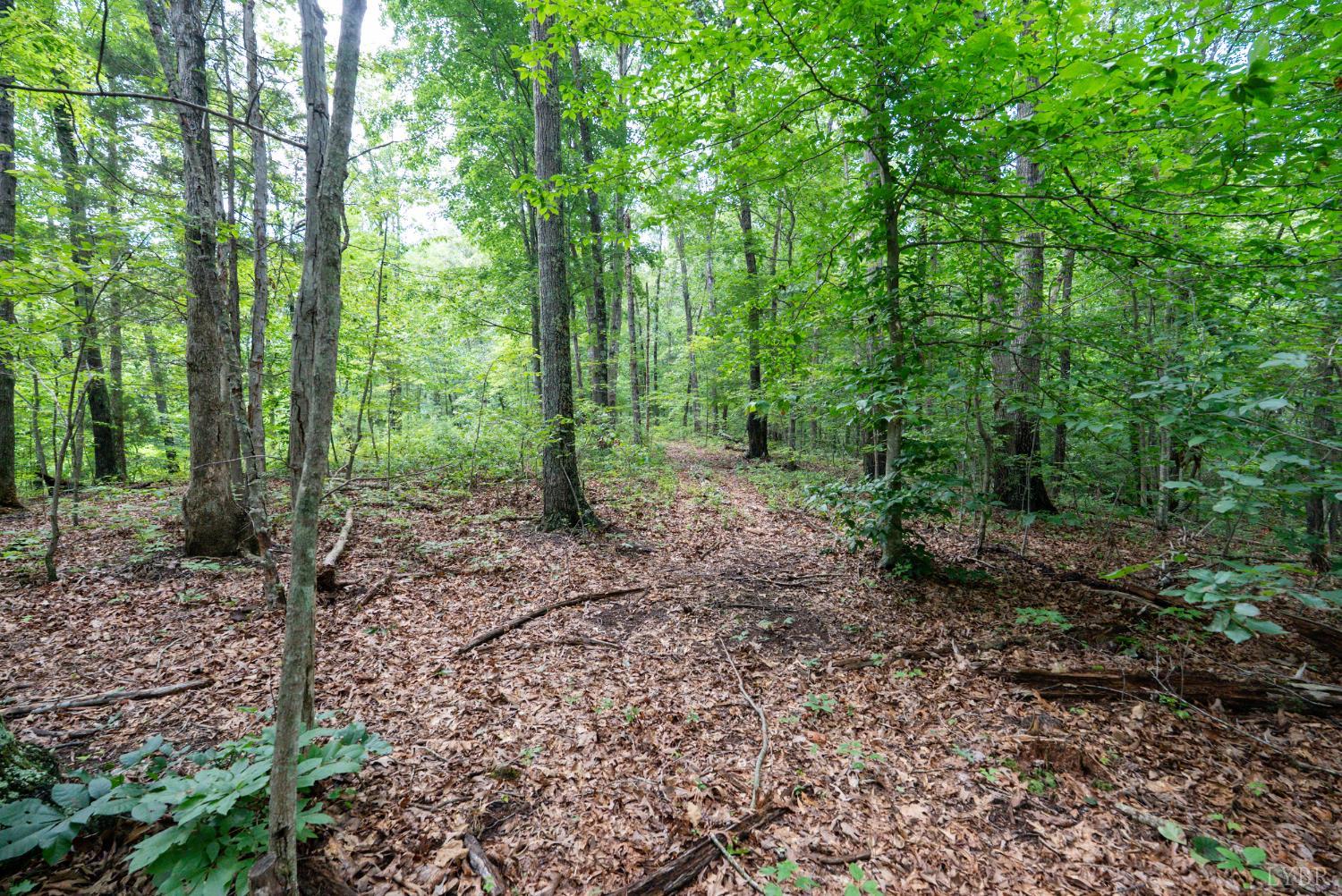 0 Allens Creek Road Gladstone, VA 24553 - Photo 30 of 37