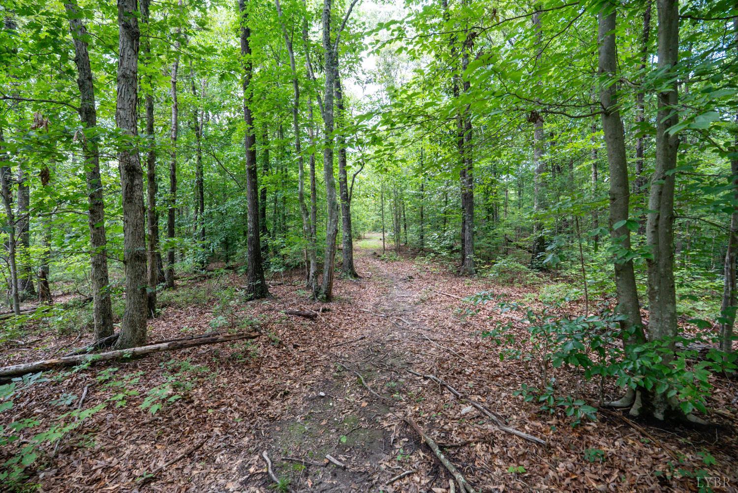 0 Allens Creek Road Gladstone, VA 24553 - Photo 31 of 37