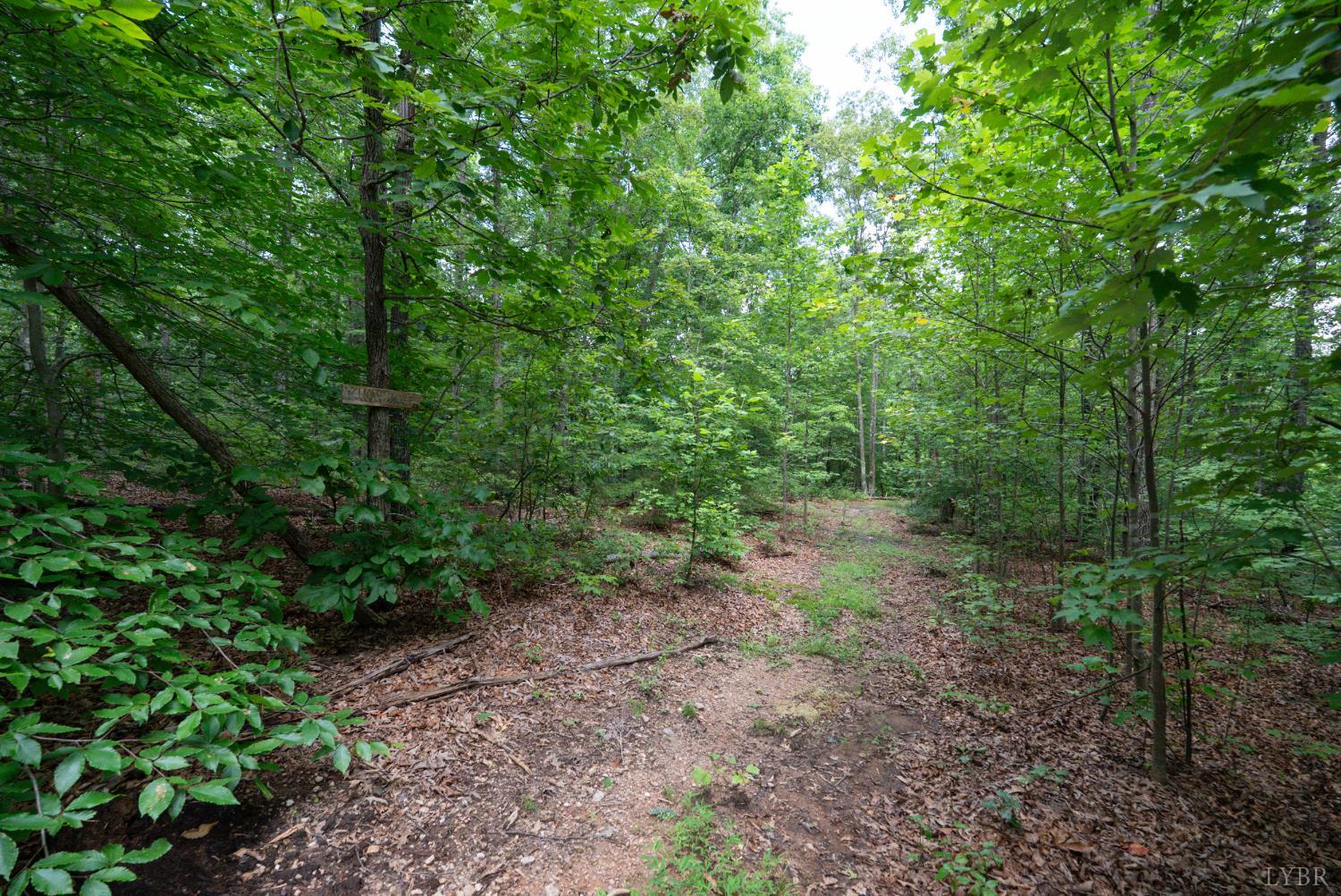 0 Allens Creek Road Gladstone, VA 24553 - Photo 32 of 37