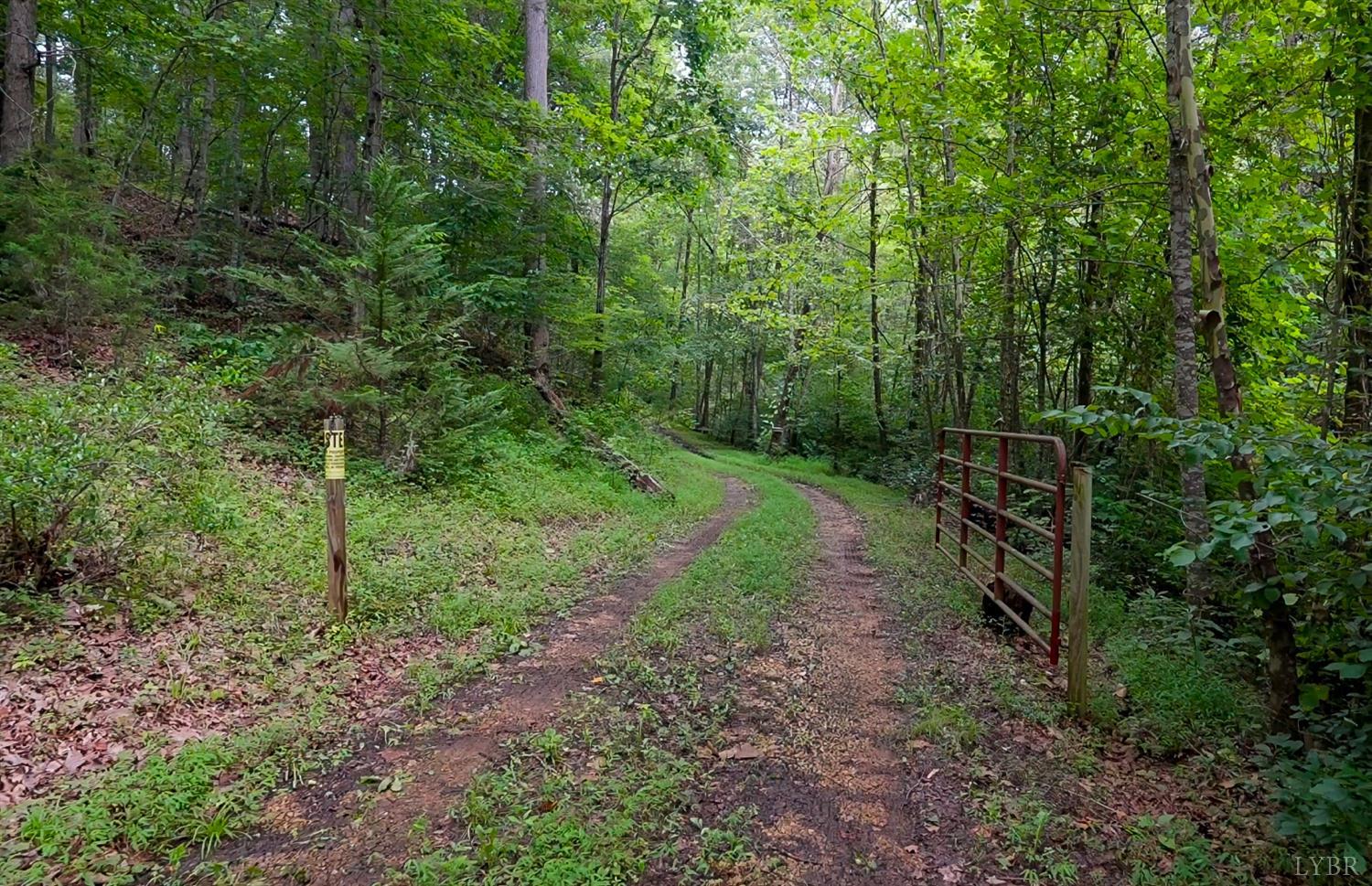 0 Allens Creek Road Gladstone, VA 24553 - Photo 4 of 37