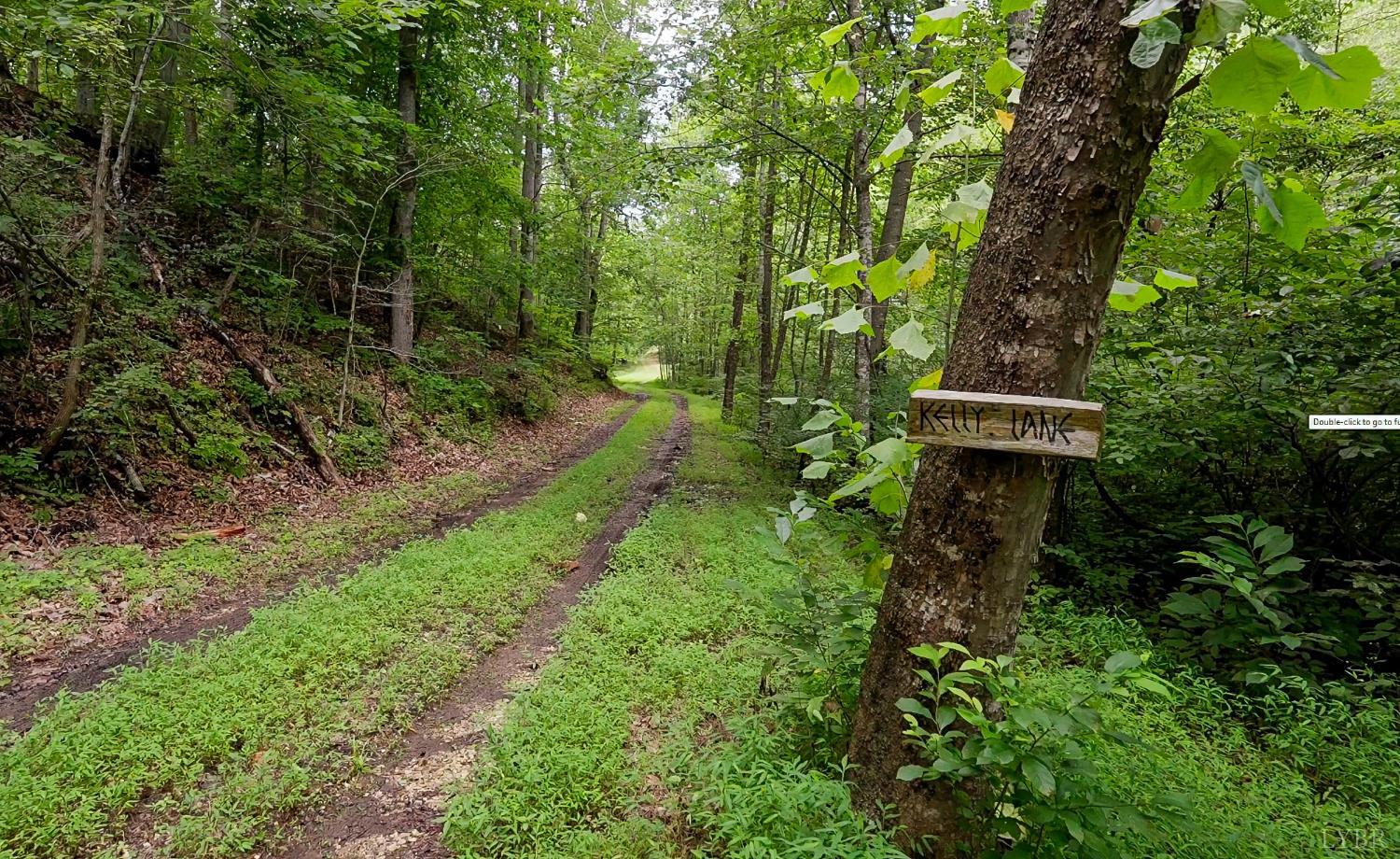 0 Allens Creek Road Gladstone, VA 24553 - Photo 5 of 37