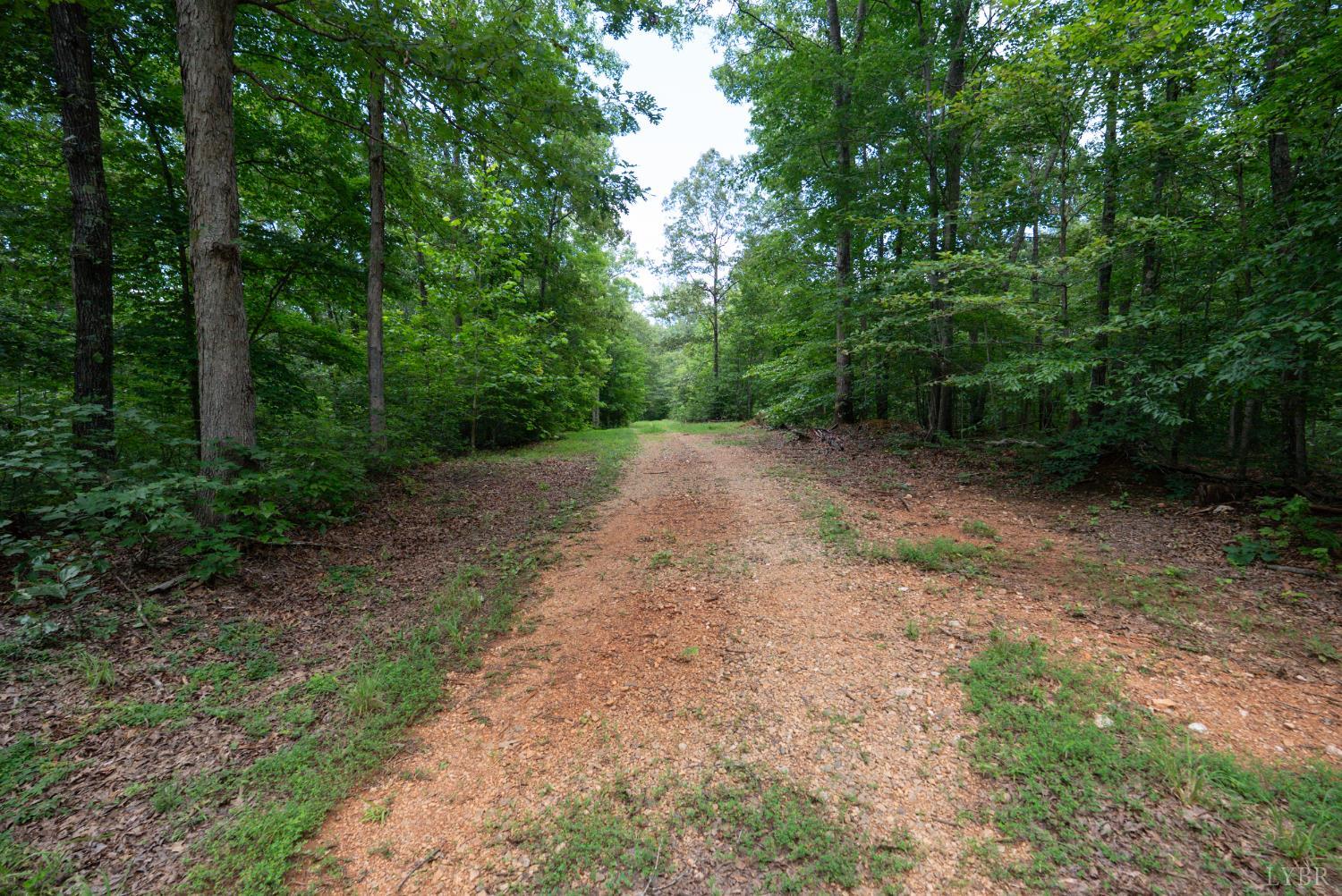 0 Allens Creek Road Gladstone, VA 24553 - Photo 8 of 37