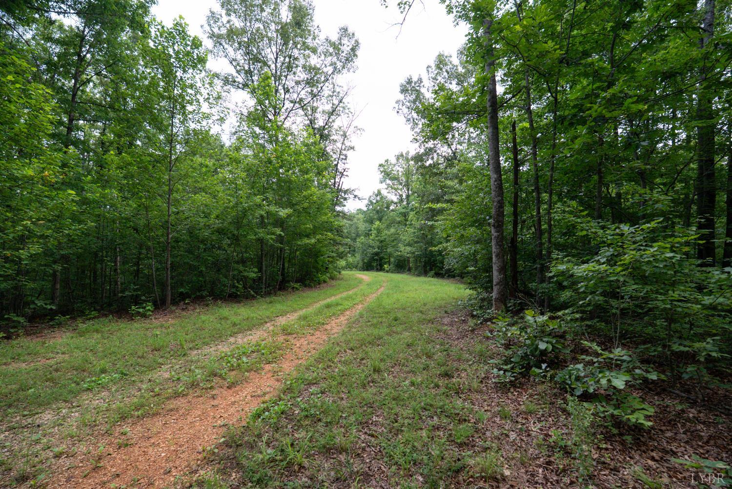 0 Allens Creek Road Gladstone, VA 24553 - Photo 9 of 37