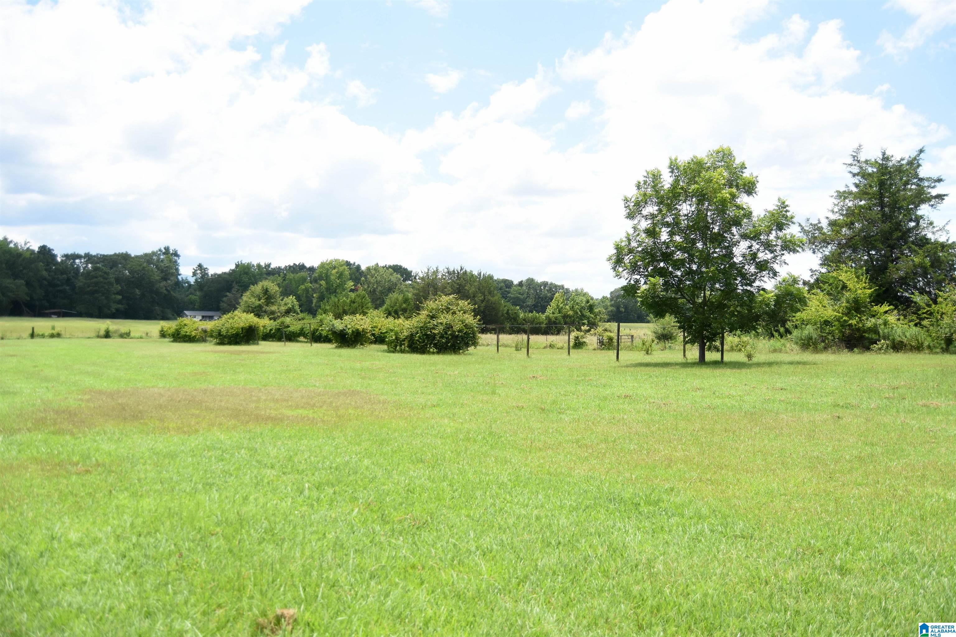 873 Buckelew Road Anniston, AL 36207 - Photo 73 of 91