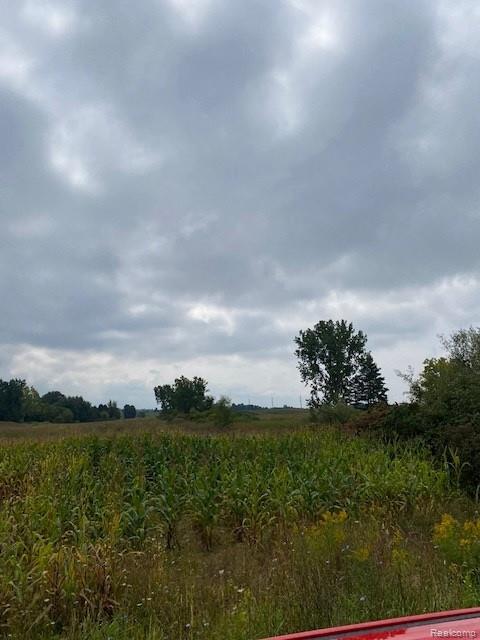 7451 Fostoria Road Mayville, MI 48744 - Photo 34 of 41