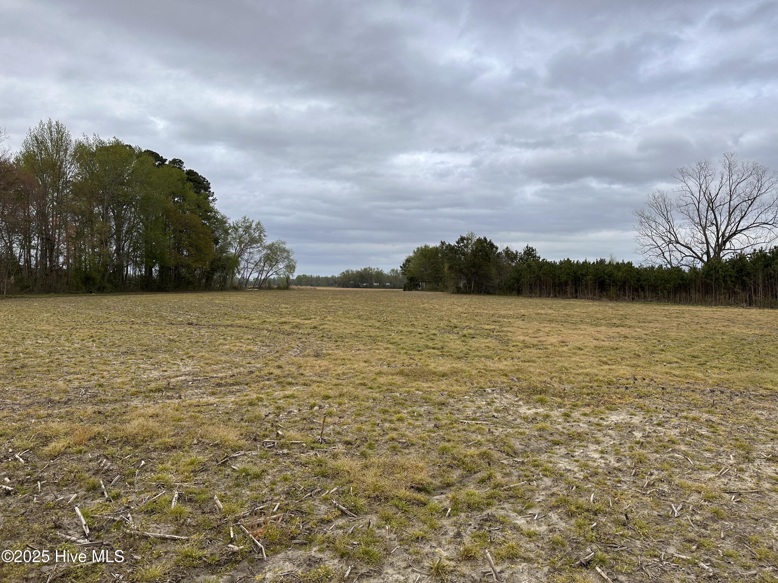 1806 Castoria Road Walstonburg, NC 27888 - Photo 4 of 12 IMG_8903