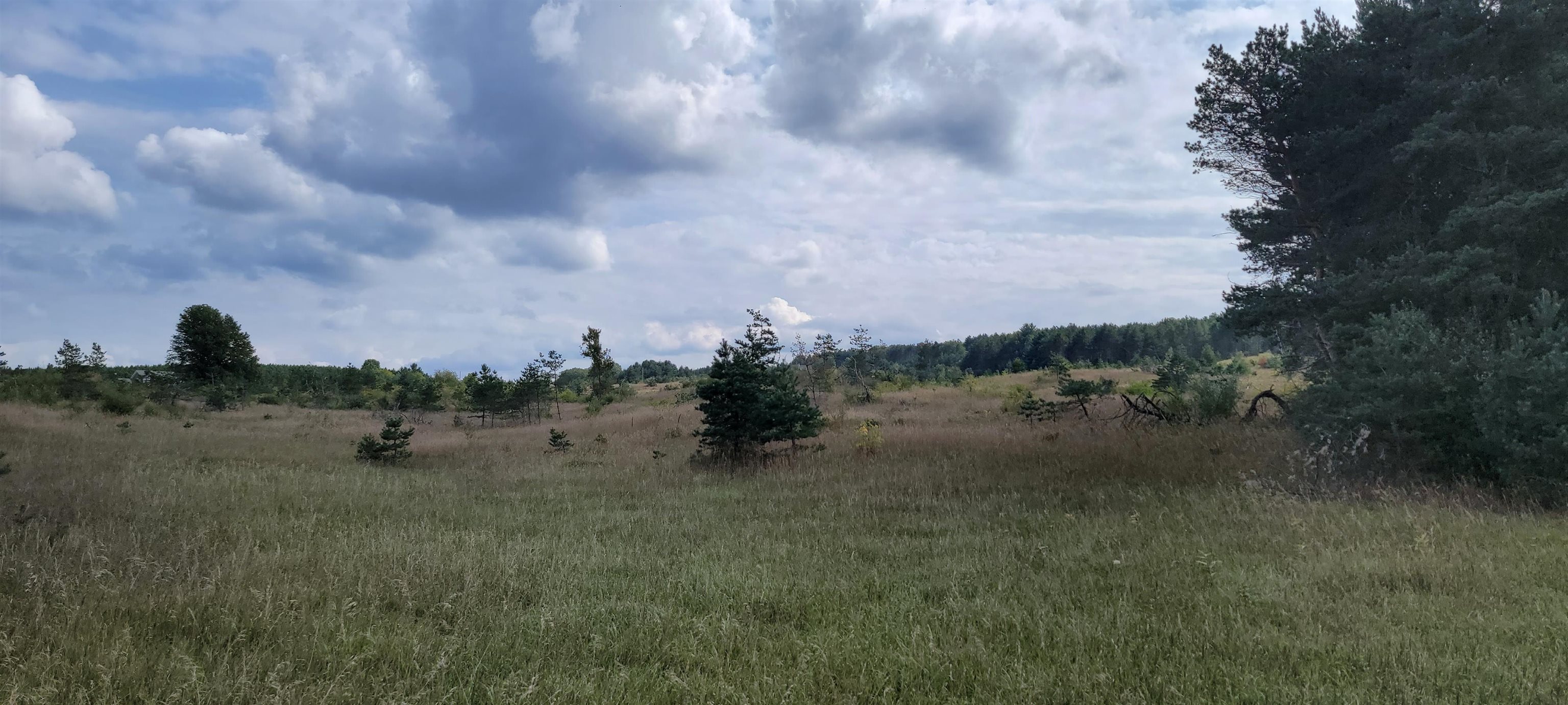 Parcel J Helena Road Alden, MI 49612 - Photo 8 of 11