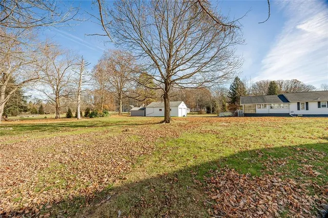 a view of yard with green space