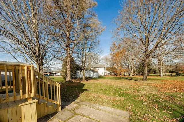a view of a city with tall trees