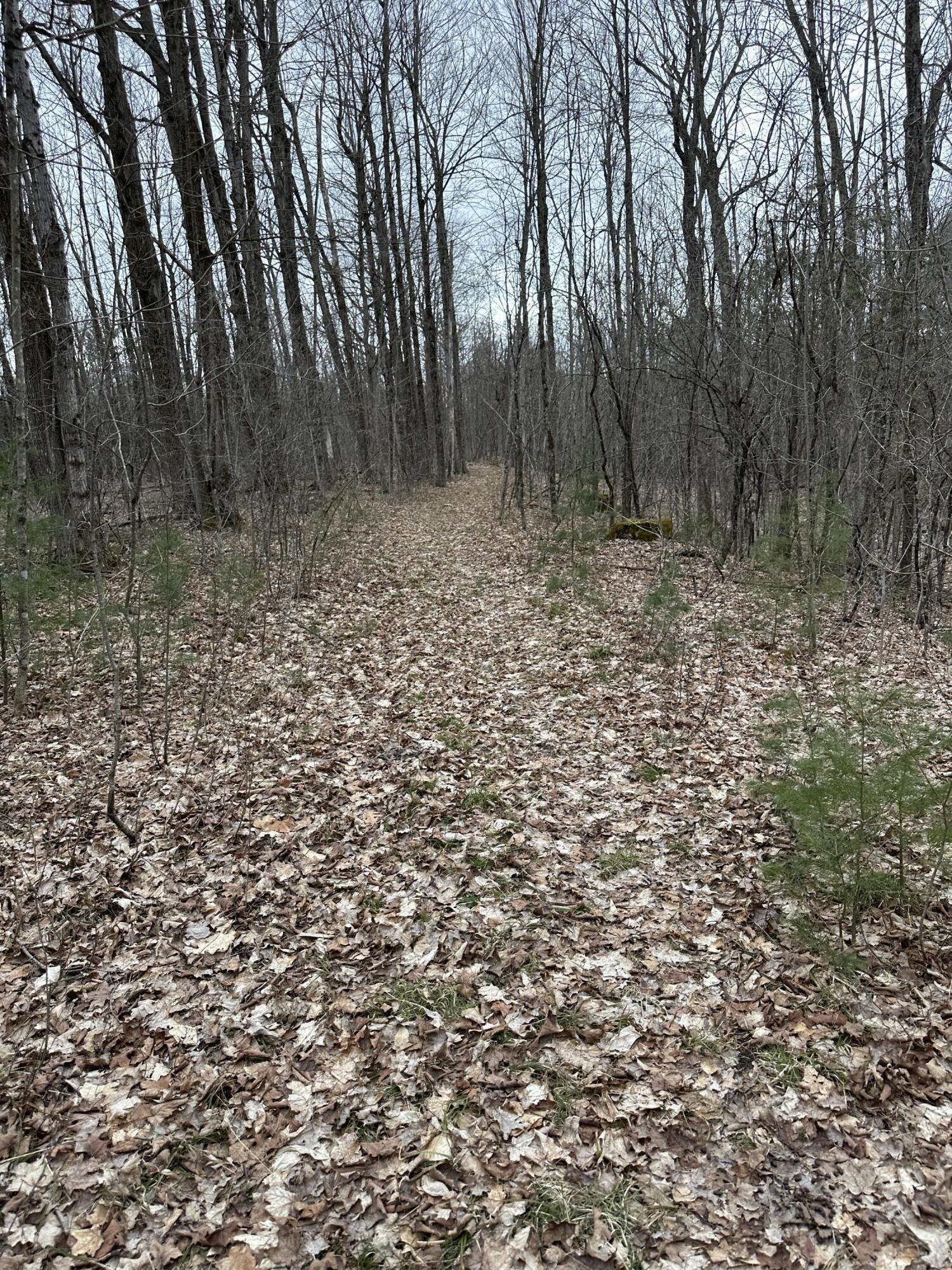 A Durand Road Plattsburgh, NY 12901 - Photo 4 of 8 Gallery Image 4
