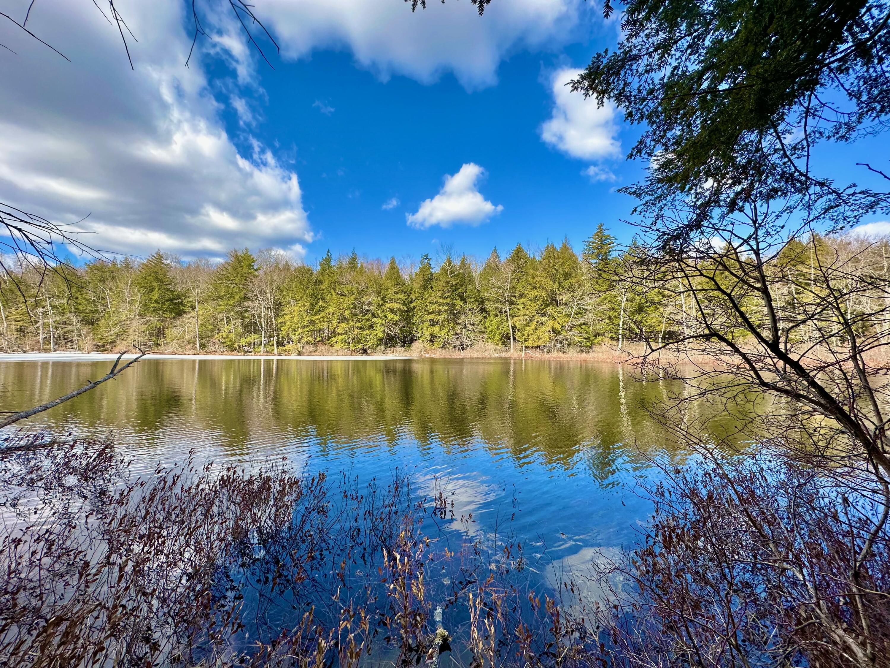 0 Sandy River Road Chesterville, ME 04938 - Photo 1 of 84 DAVID POND ACCESS