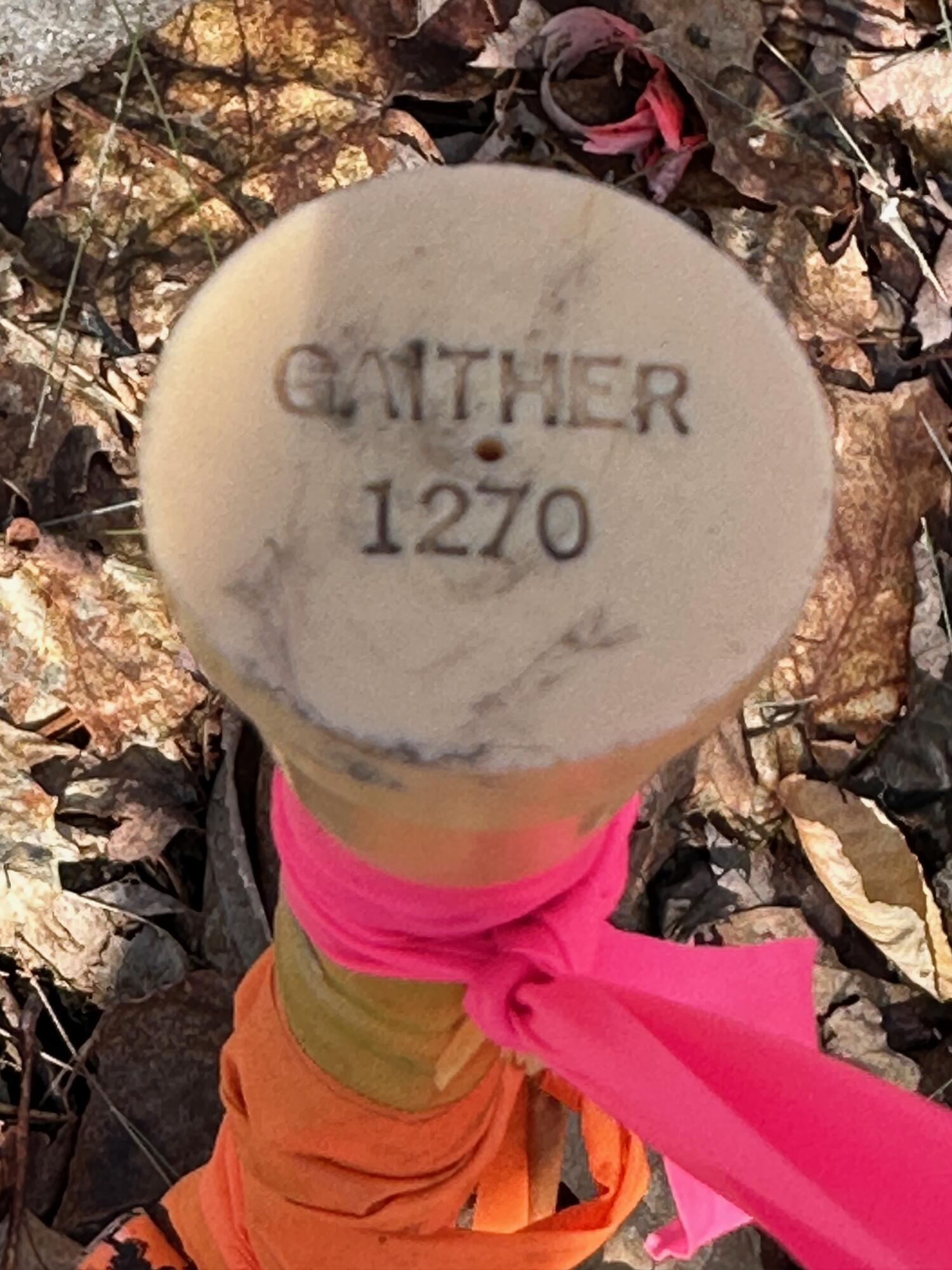 0 Sandy River Road Chesterville, ME 04938 - Photo 11 of 84 SURVEY PIN