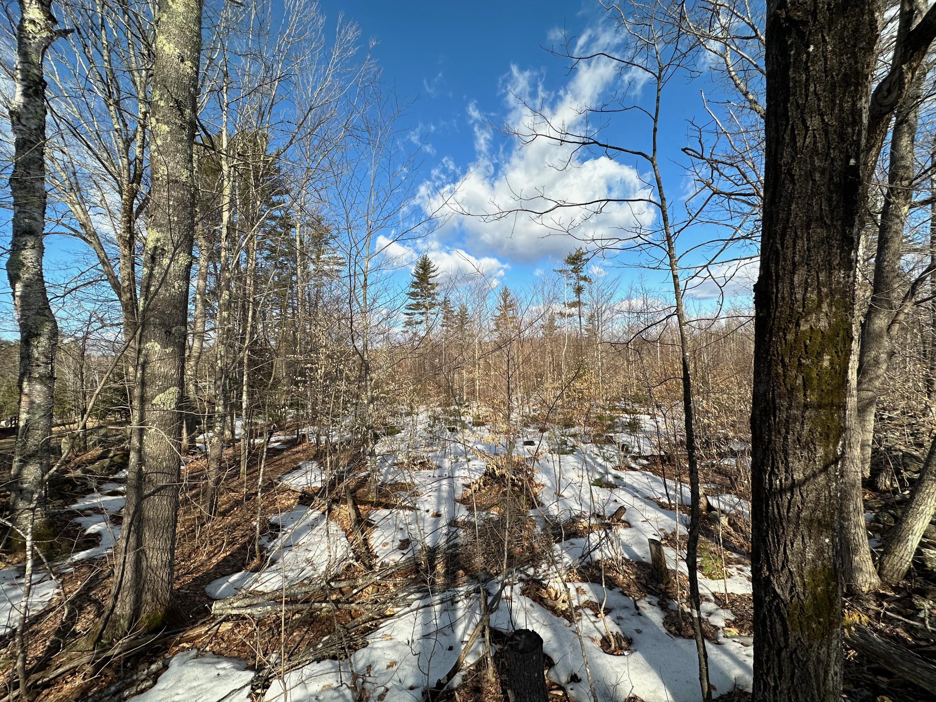 0 Sandy River Road Chesterville, ME 04938 - Photo 13 of 84 LOT