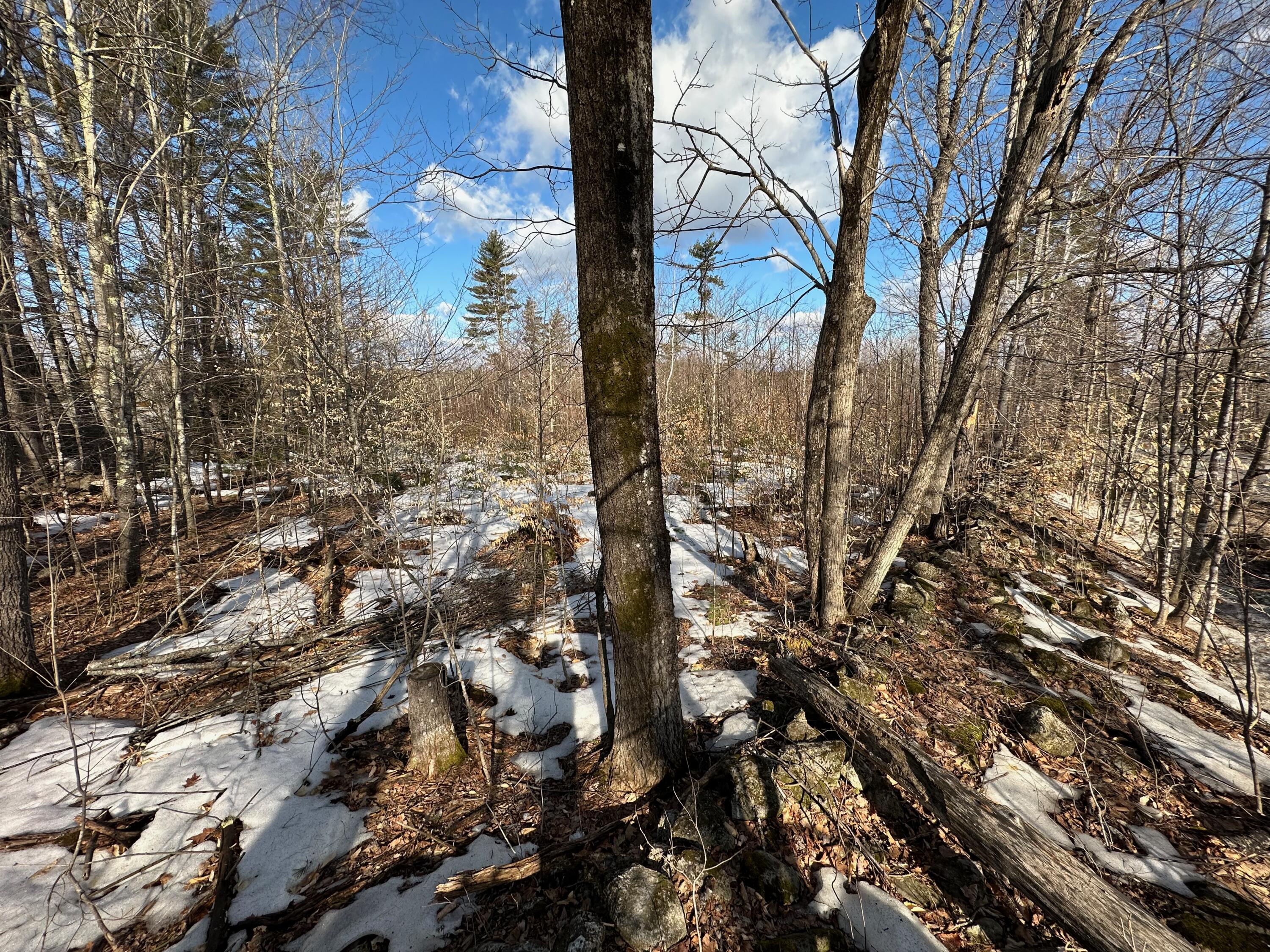 0 Sandy River Road Chesterville, ME 04938 - Photo 14 of 84 LOT