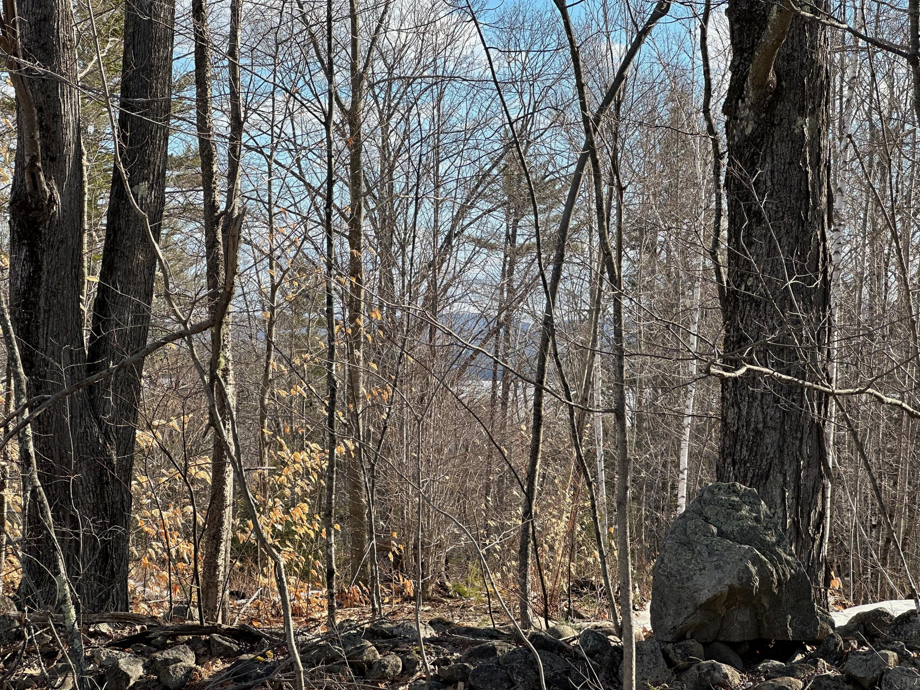 0 Sandy River Road Chesterville, ME 04938 - Photo 15 of 84 PARKER POND VIEWS
