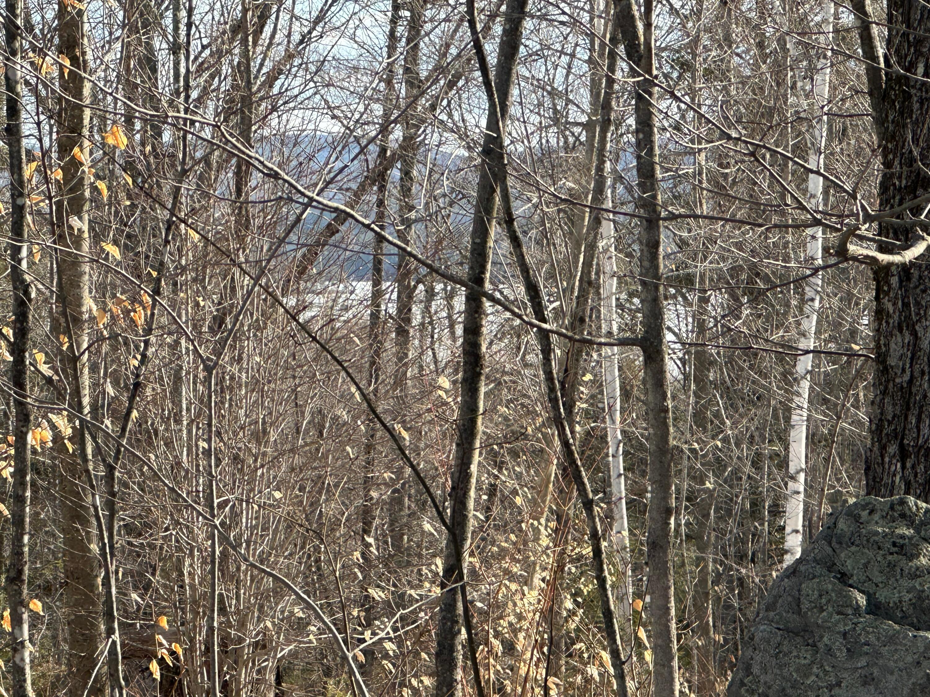 0 Sandy River Road Chesterville, ME 04938 - Photo 16 of 84 PARKER POND VIEWS