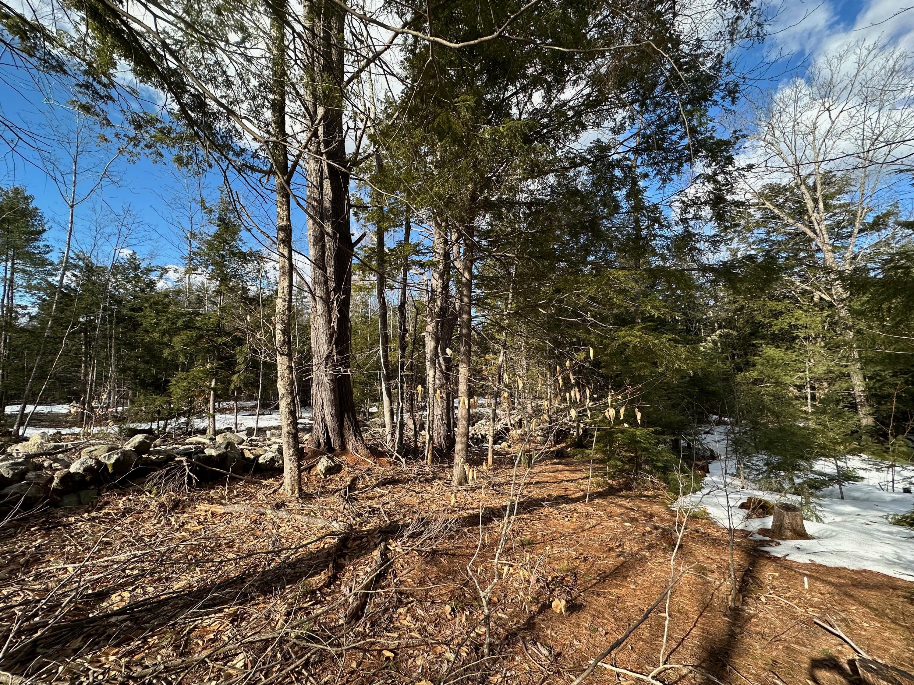 0 Sandy River Road Chesterville, ME 04938 - Photo 19 of 84 ROCK WALLS